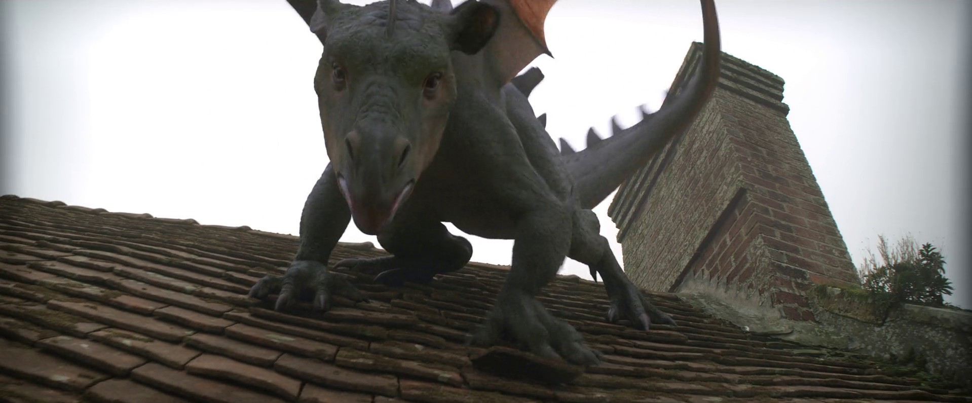 Imperfect Hosts (2022) —  shot,  lighting