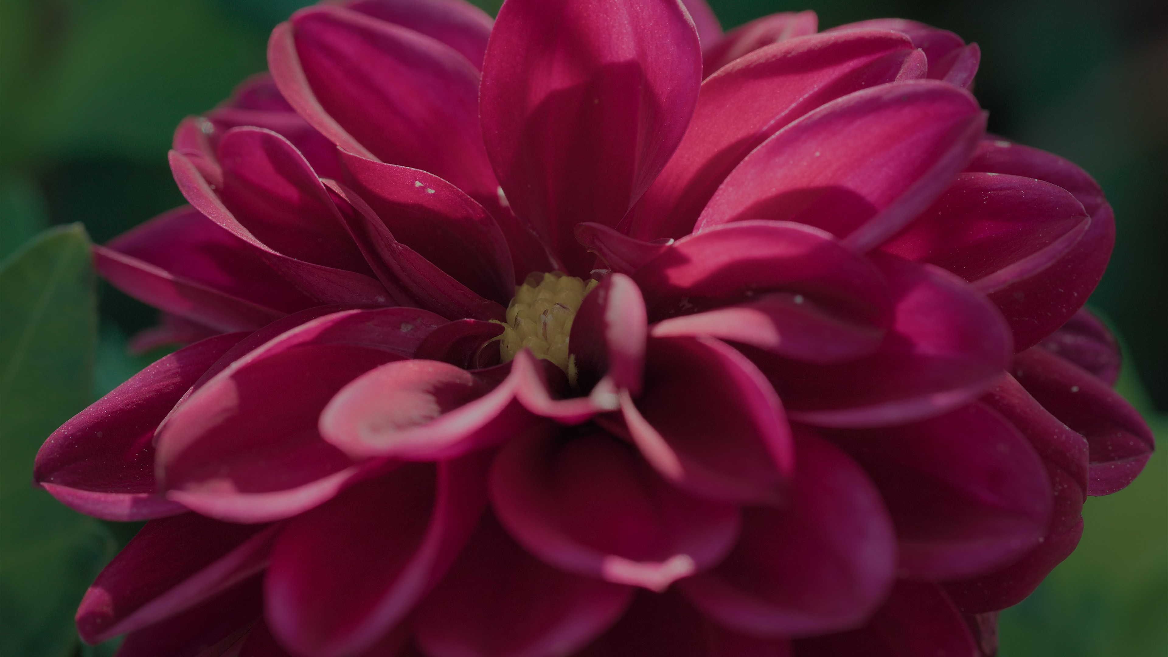 The Zone of Interest (2024) —  shot,  lighting