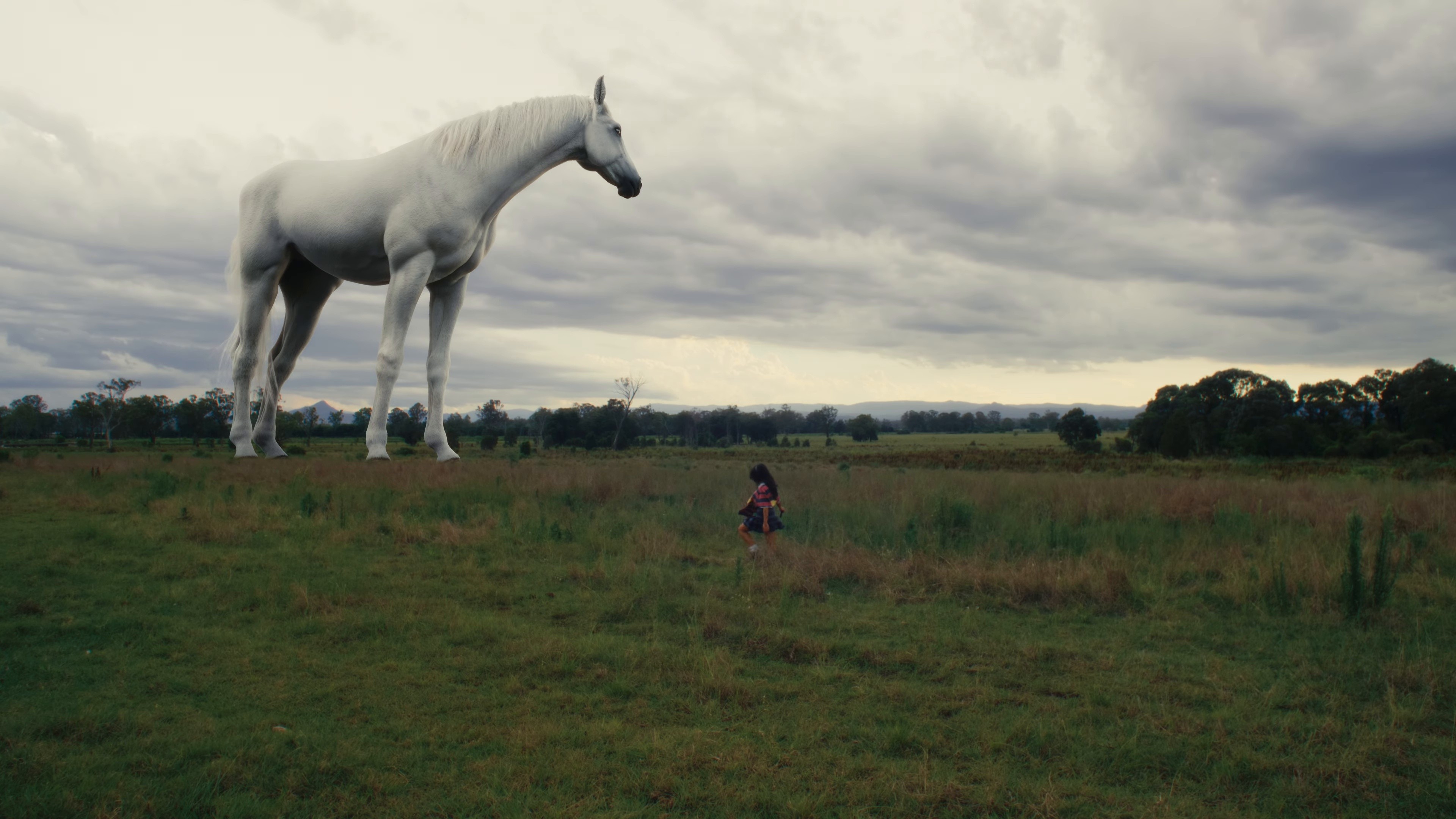 Horses (2024) —  shot,  lighting