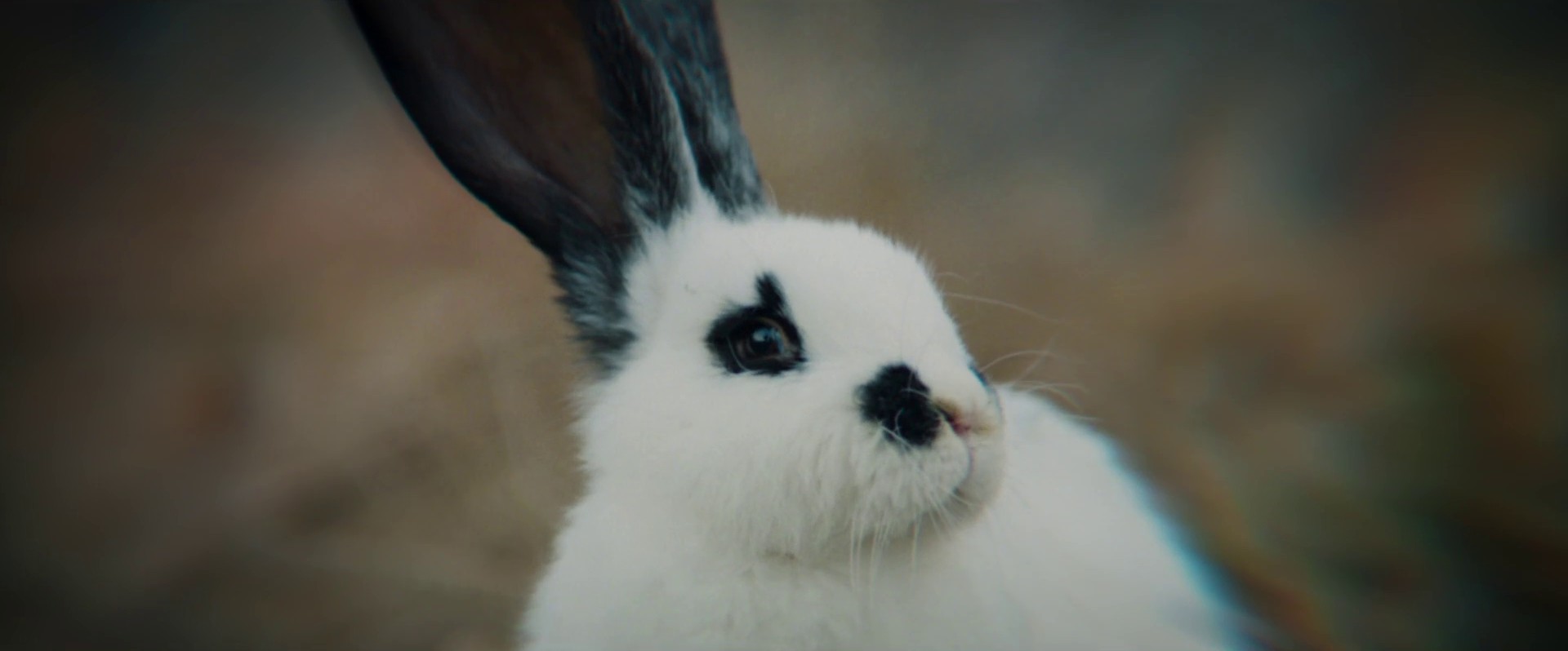 What a day (2021) —  shot,  lighting