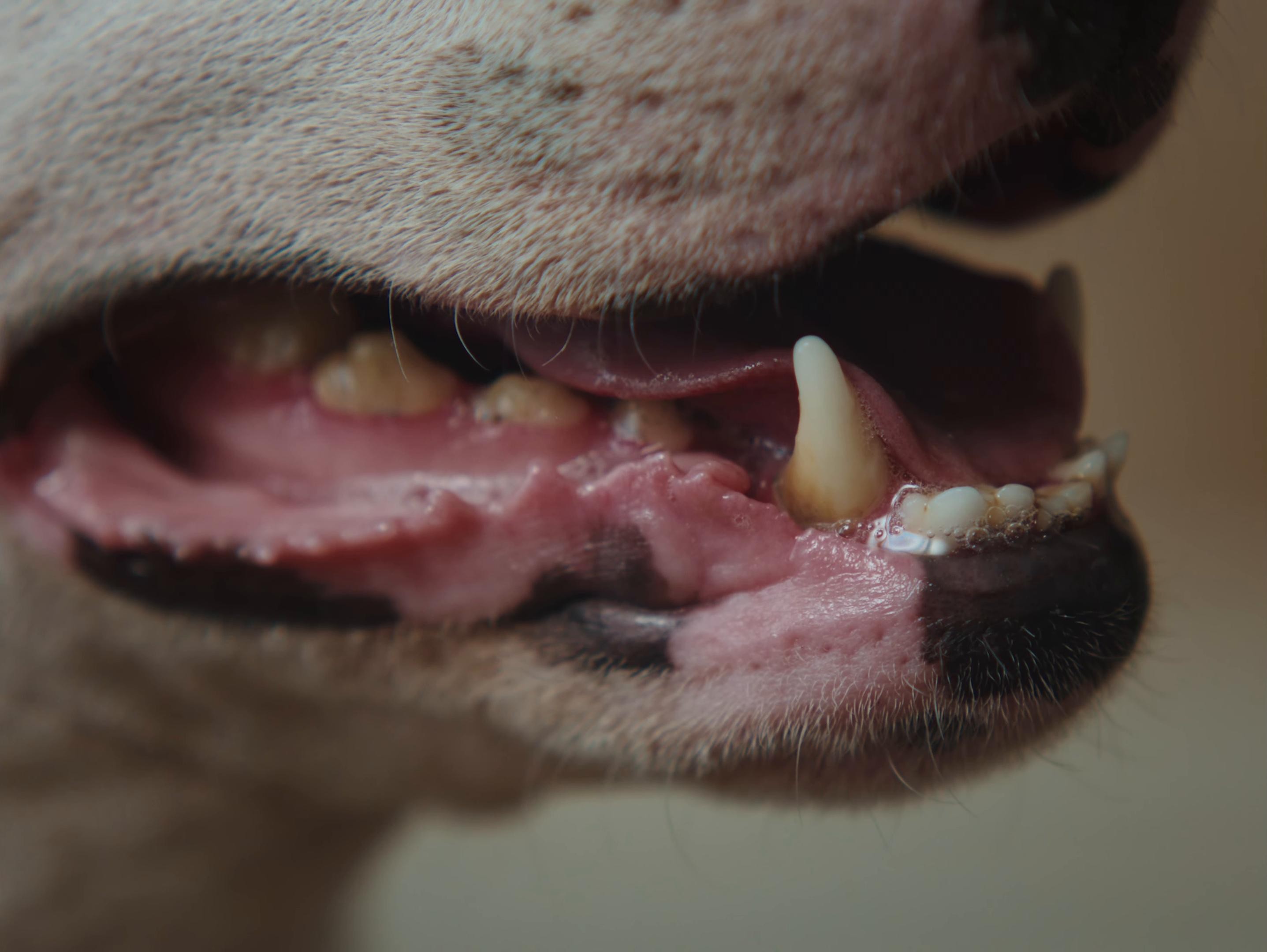 T&A (2025) —  shot,  lighting