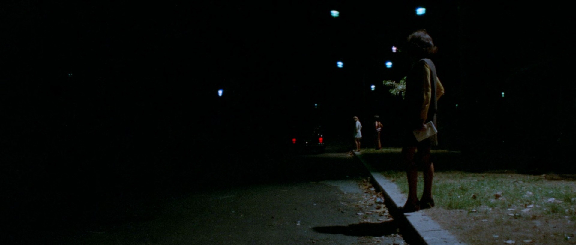 The Strange Vice of Mrs. Wardh (1972) —  shot,  lighting