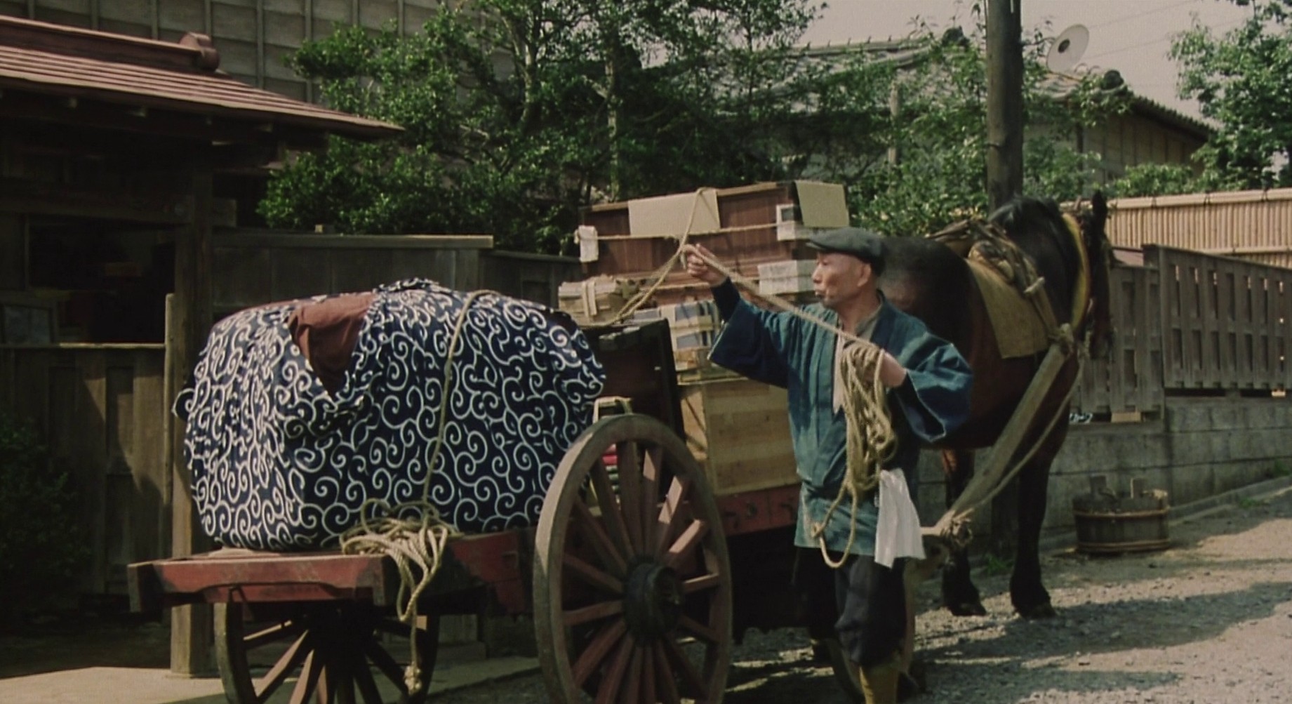 Madadayo (1993) —  shot,  lighting