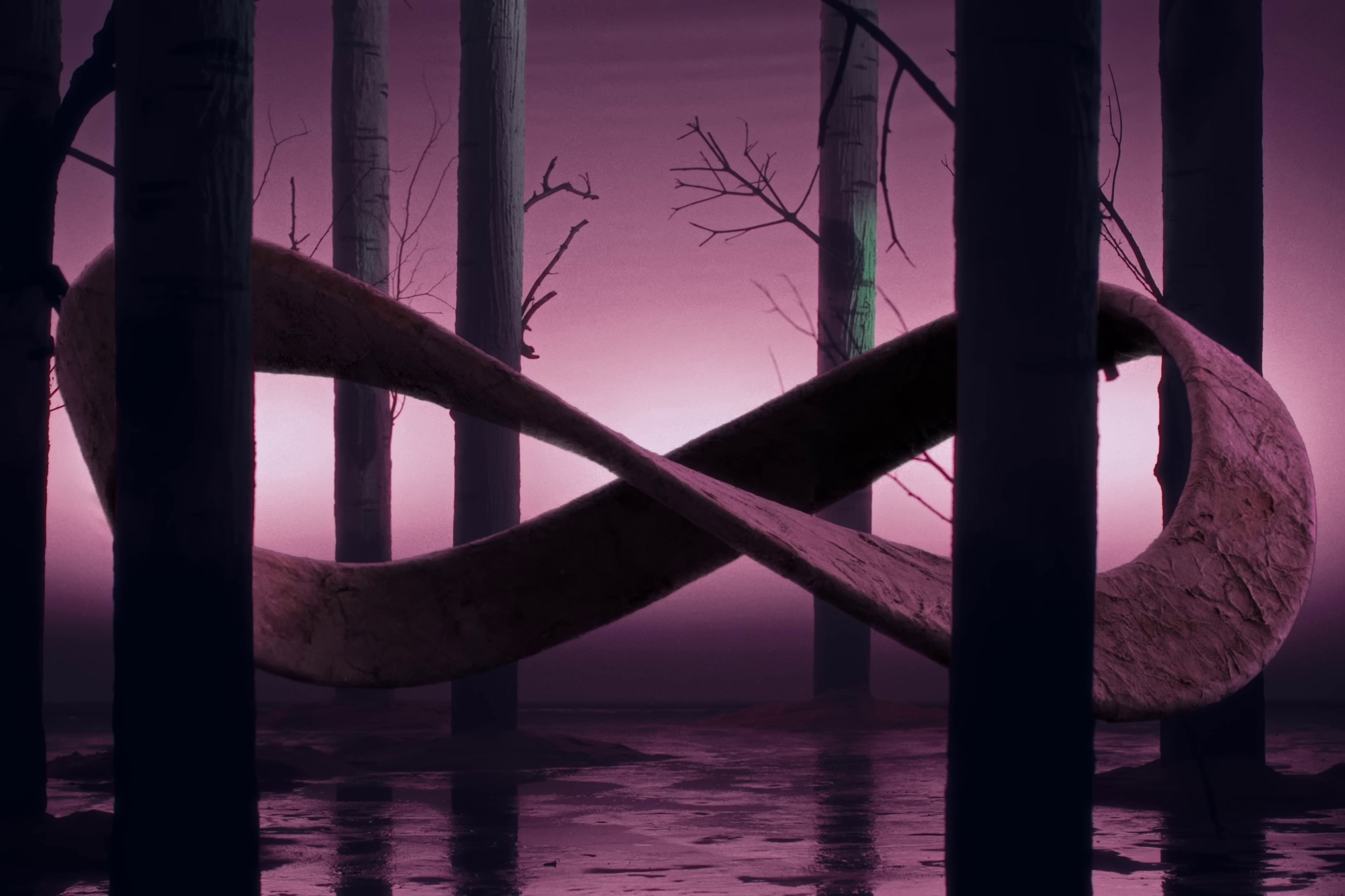 Đánh Cược (2024) —  shot,  lighting