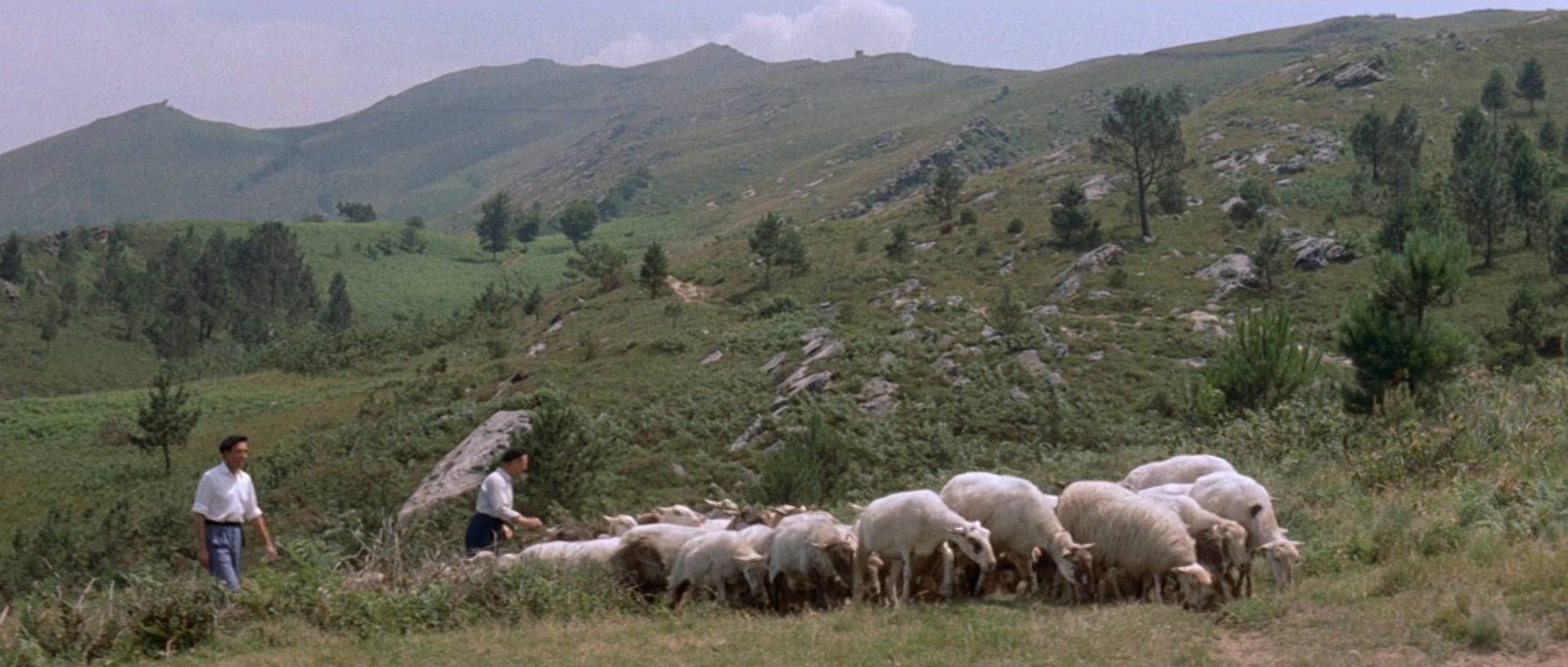 Le chanteur de Mexico (1956) —  shot,  lighting