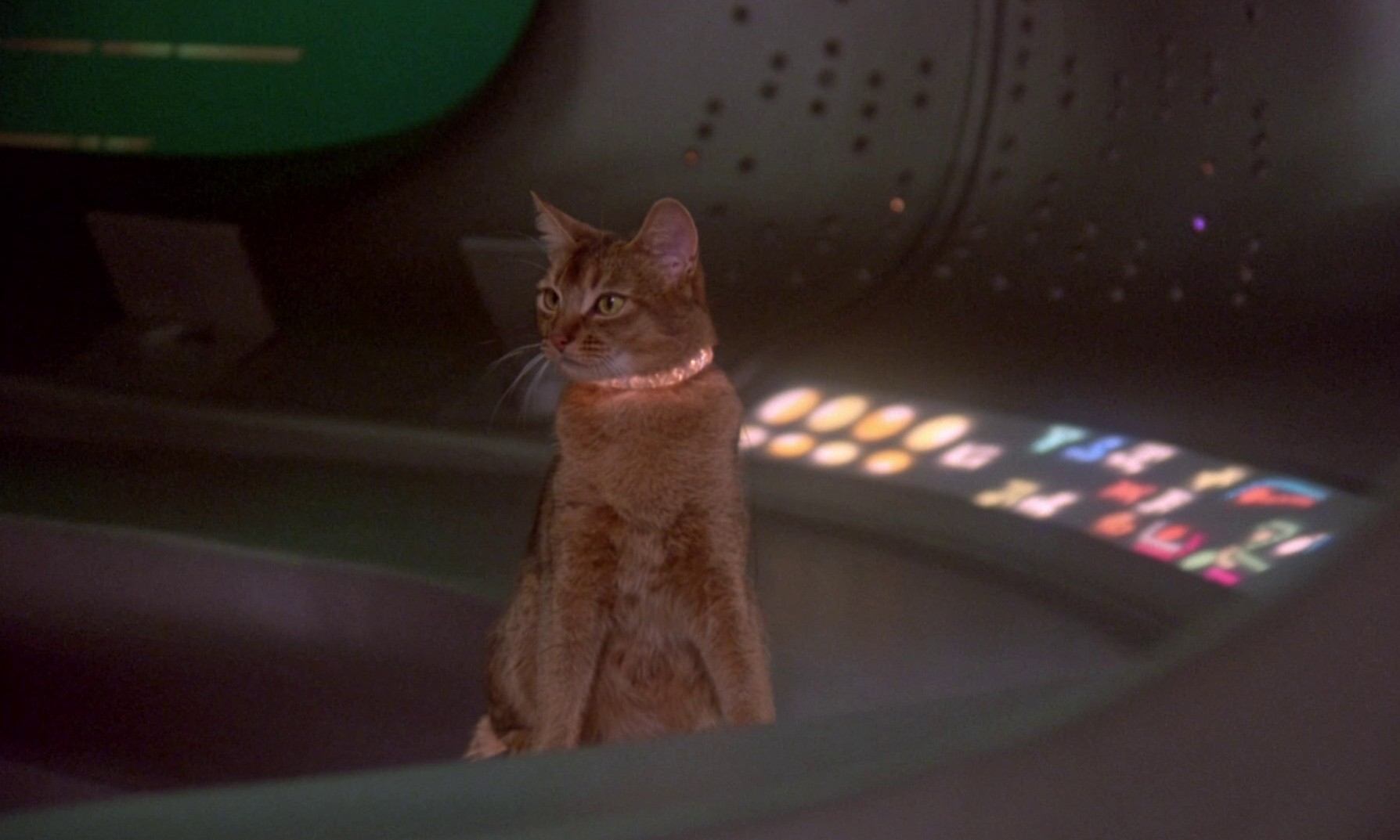 The Cat from Outer Space (1978) —  shot,  lighting