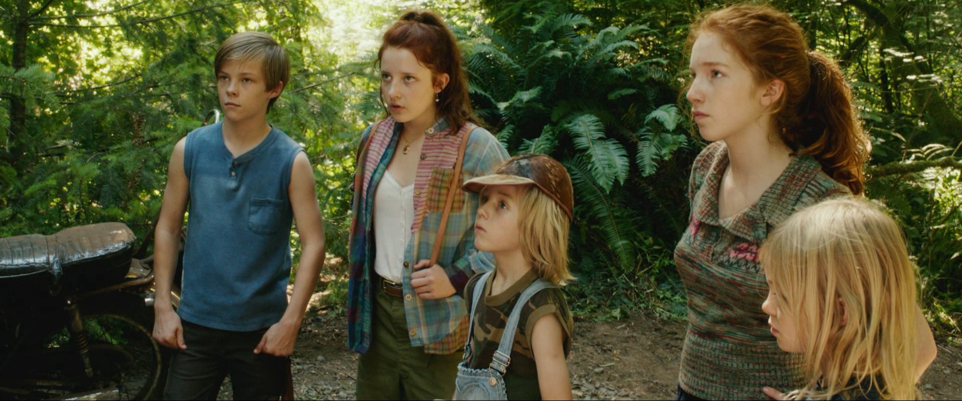 Captain Fantastic (2016) —  shot,  lighting