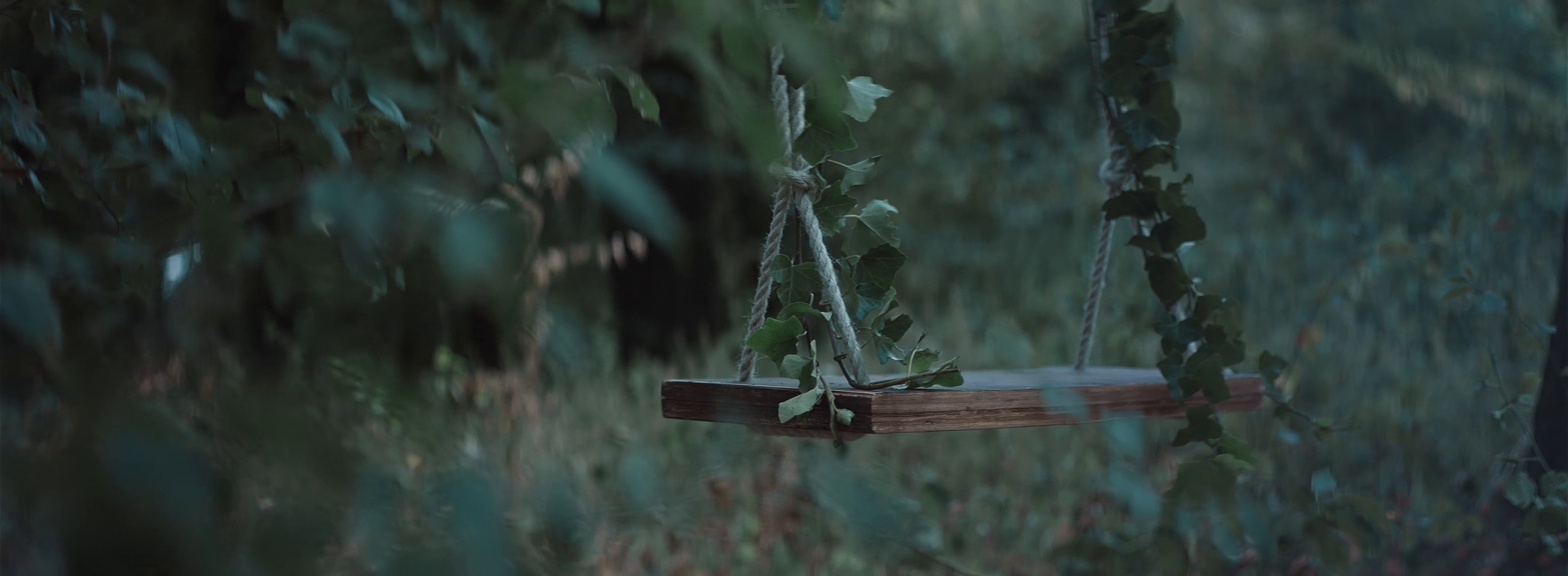 KIKO (2017) —  shot,  lighting