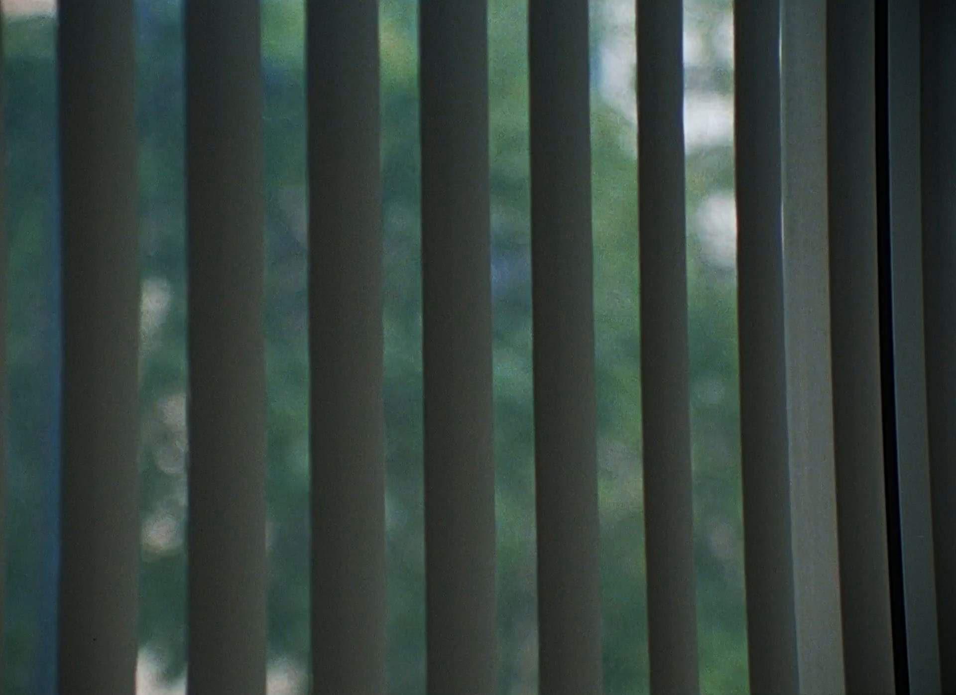 UNI. (2024) —  shot,  lighting