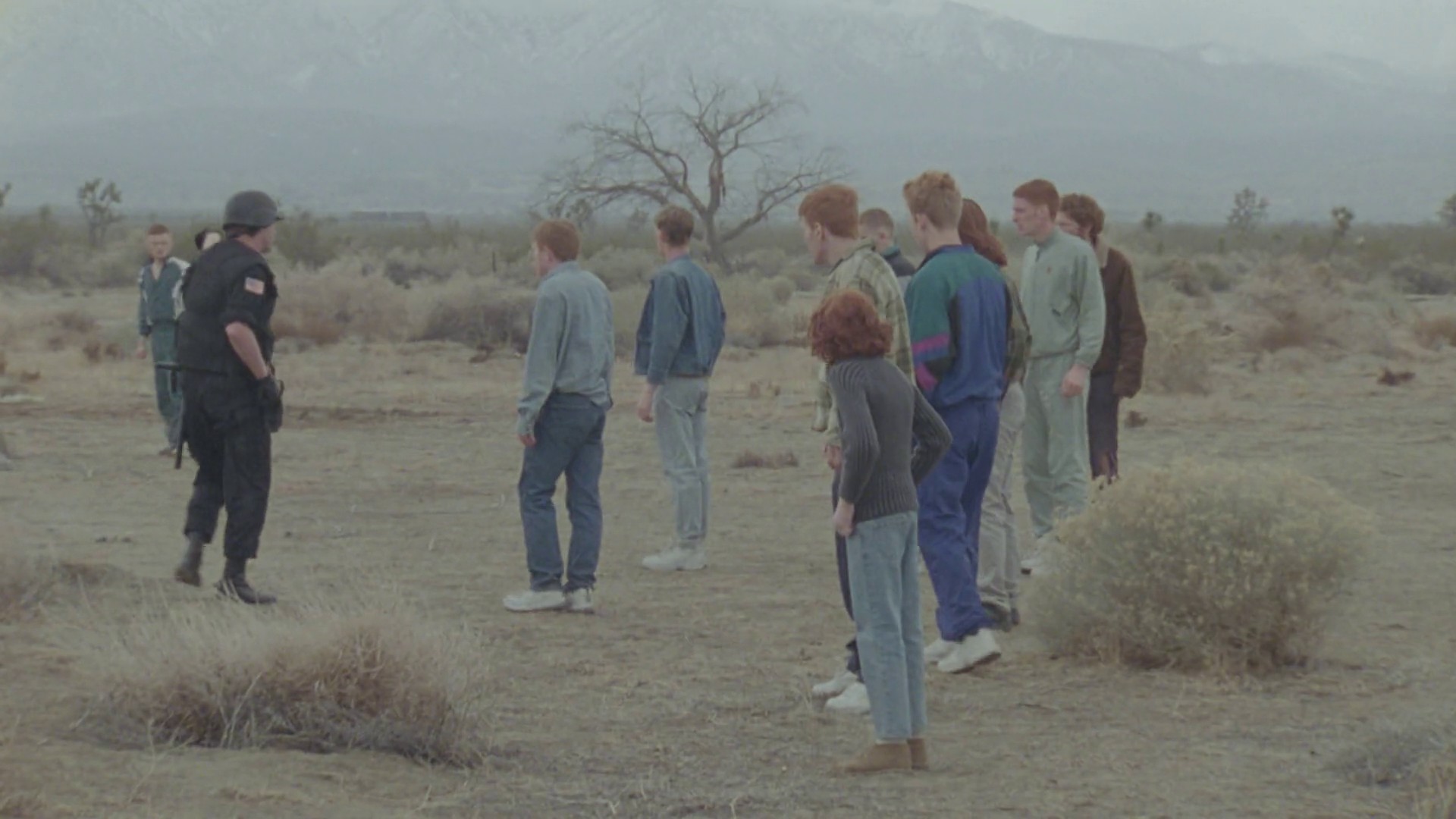 Born Free (2010) —  shot,  lighting