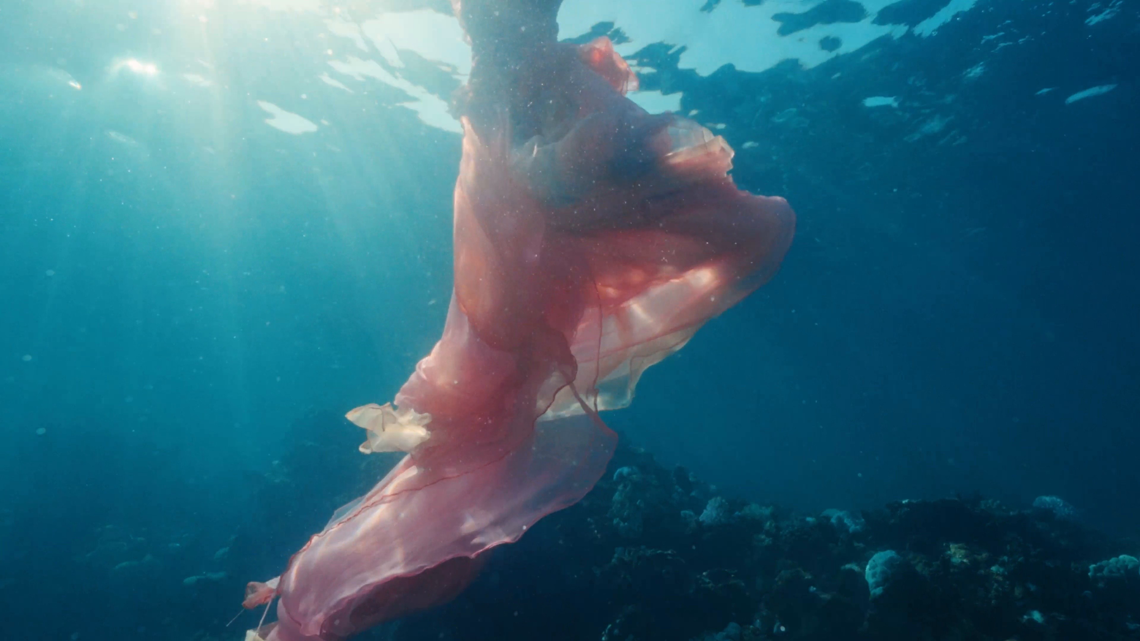 Candice Swanepoel x RedSea | Director's cut - Jeddah (2024) —  shot,  lighting