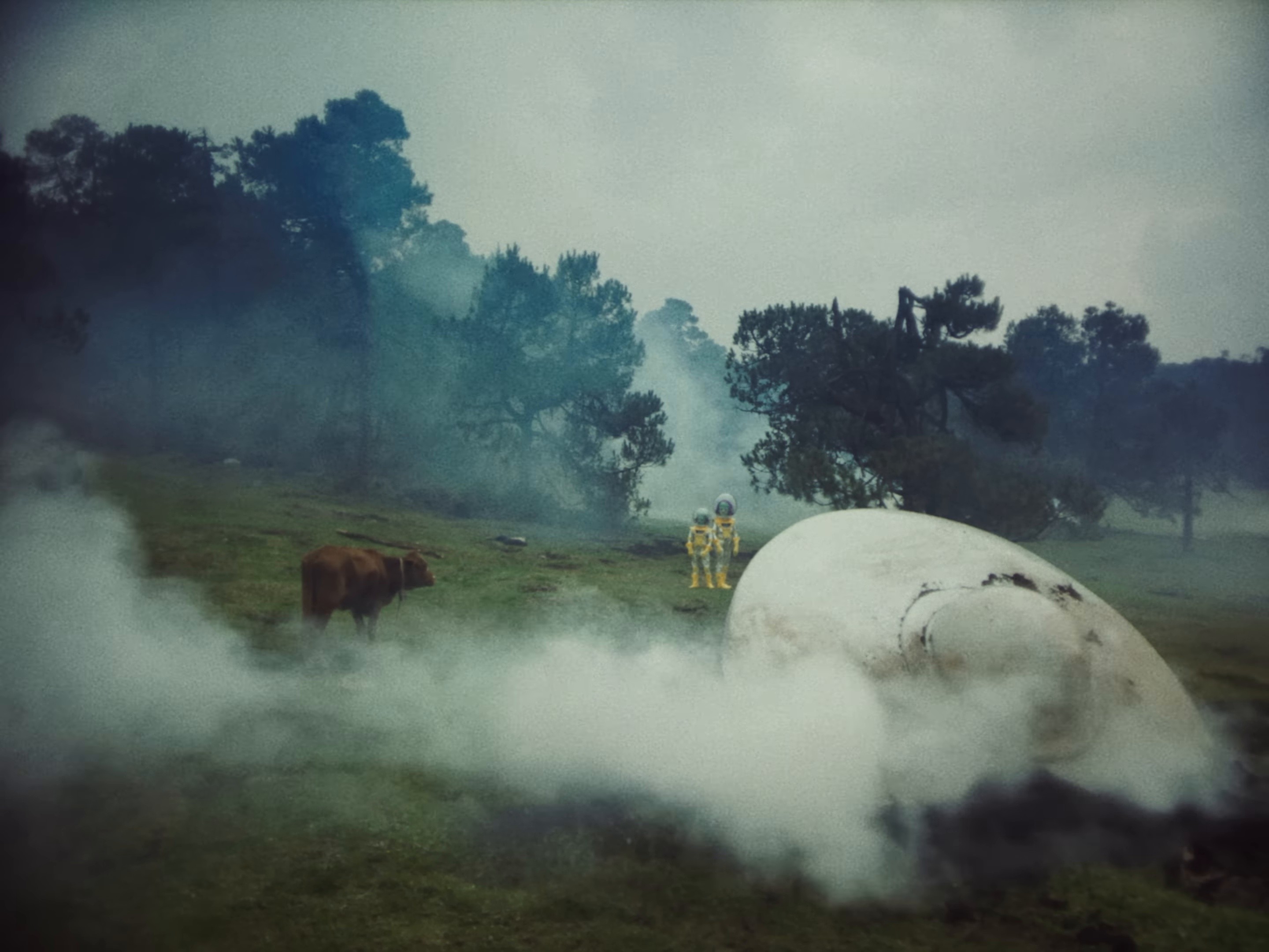 Show Pony (2024) —  shot,  lighting