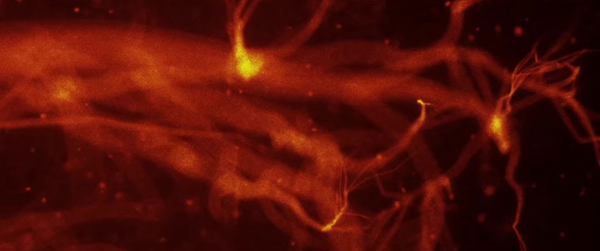 Moth To A Flame (2021) —  shot,  lighting