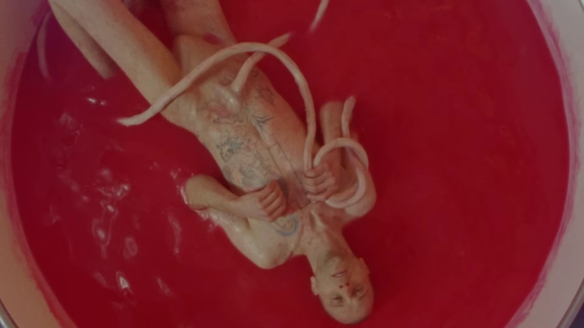 Feel Like A Woman (2023) —  shot,  lighting