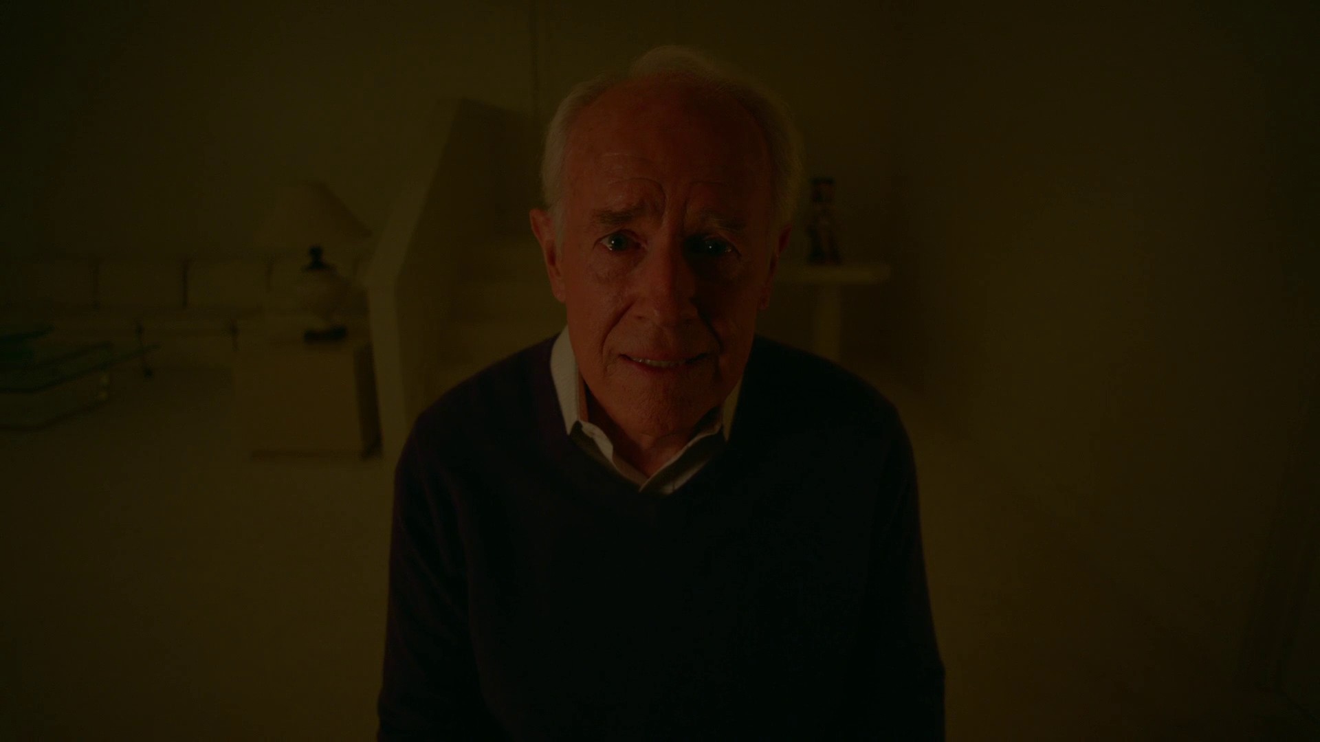 A Random Killing (2018) —  shot,  lighting