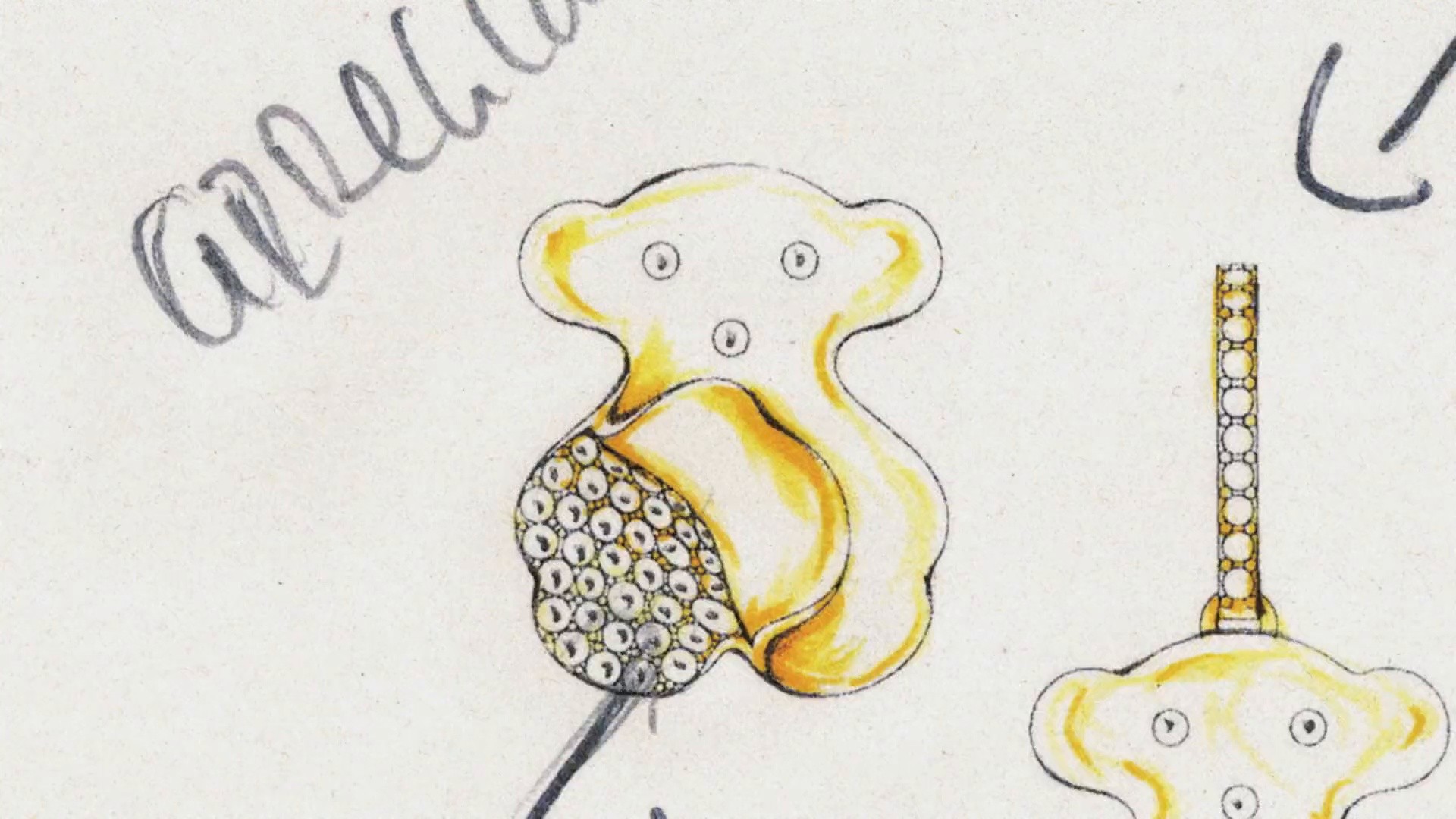 THE ARCHIVE OF TOUS (2025) —  shot,  lighting