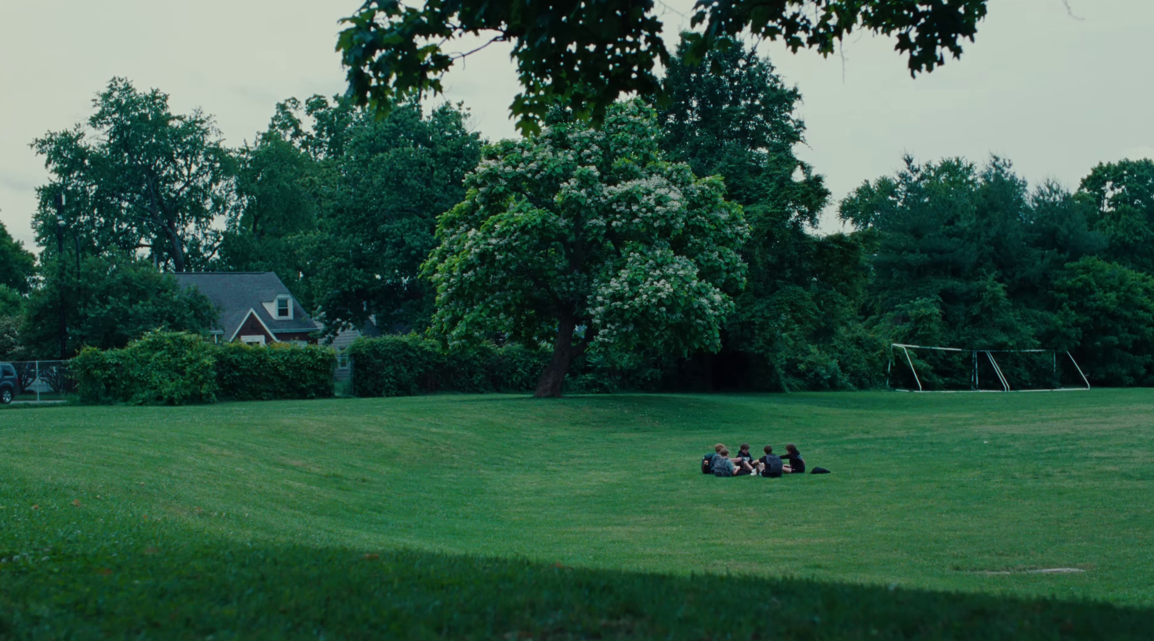 Gang Gang Gang (2023) —  shot,  lighting