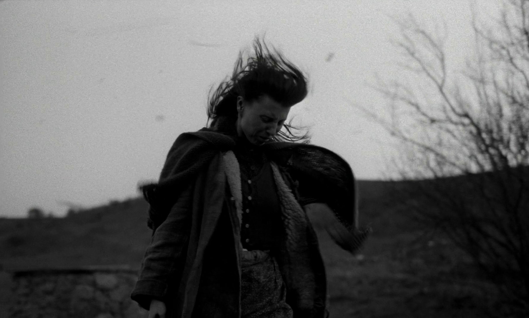 The Turin Horse (2012) —  shot,  lighting
