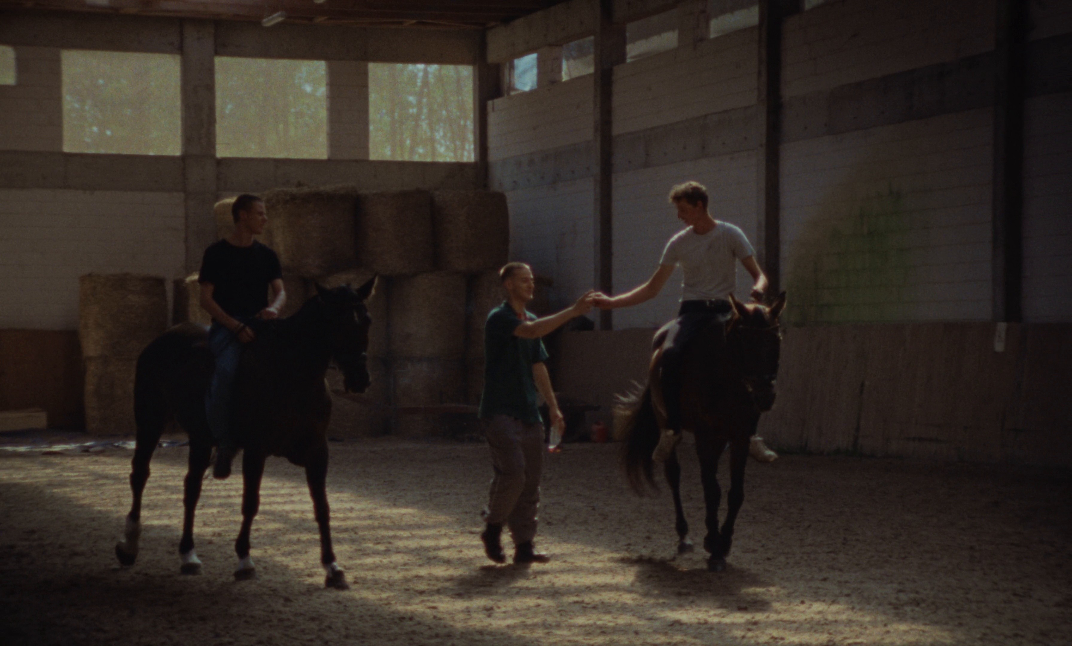 Music for a while (2024) —  shot,  lighting