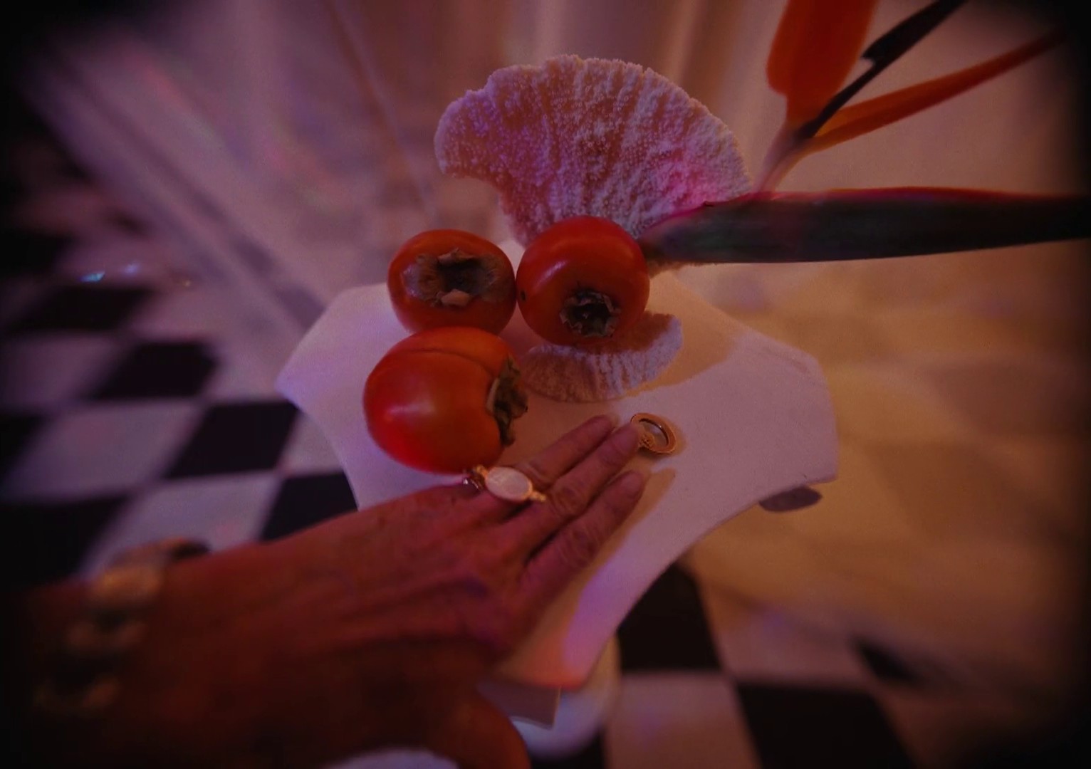 I'm Your Guy (2020) —  shot,  lighting