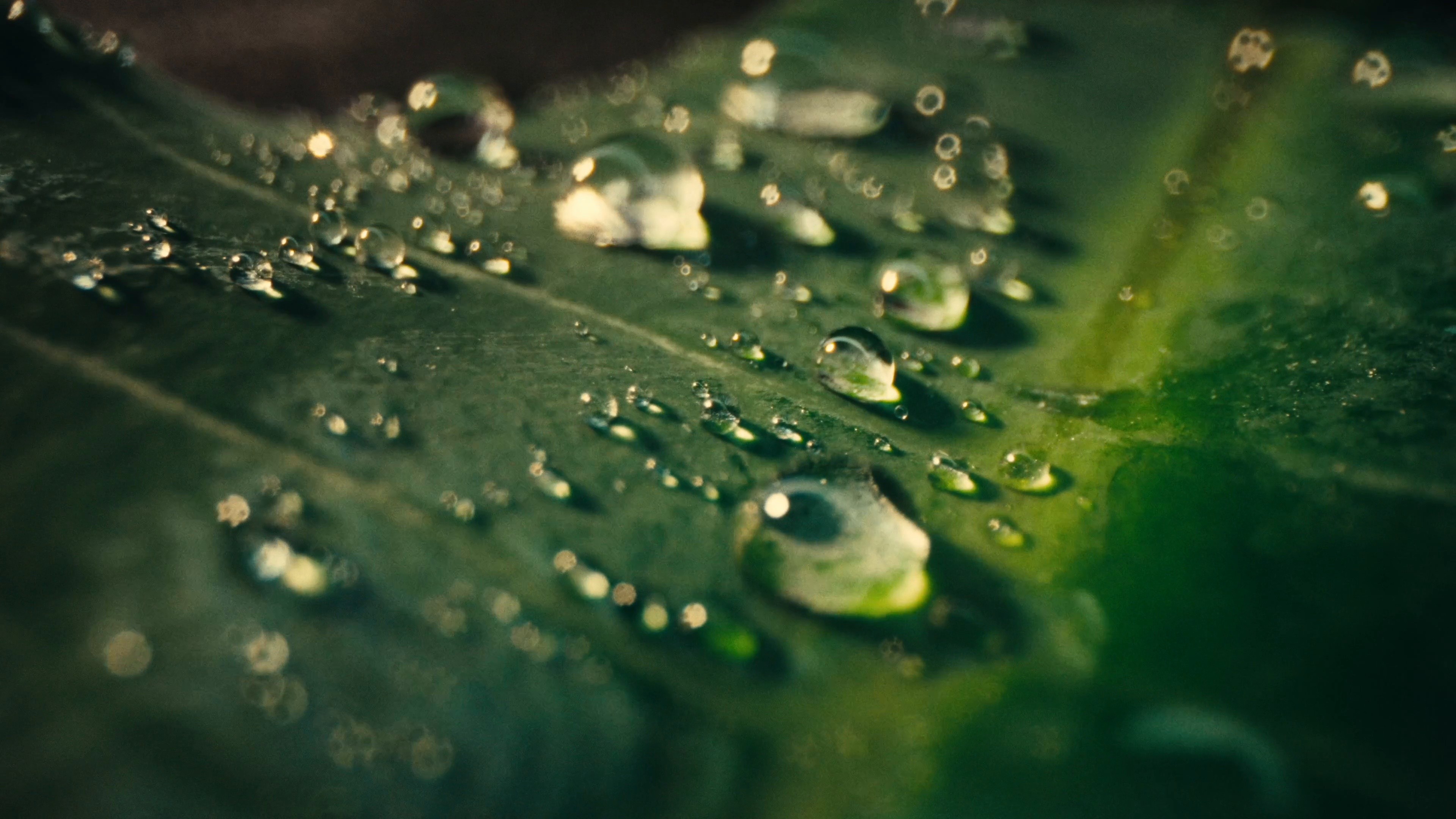 Valerion - See Every Frame Come Alive. (2025) —  shot,  lighting