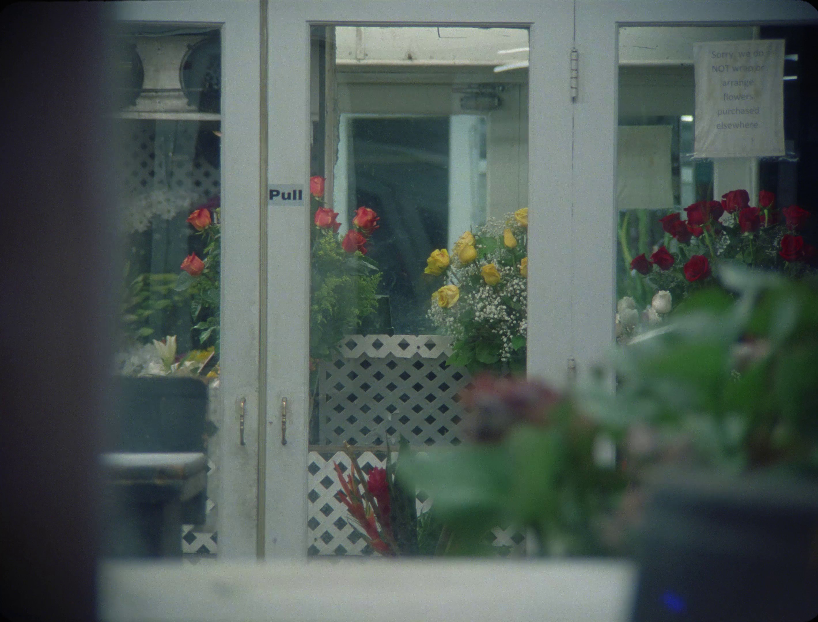 Pleasing Fragrances (2023) —  shot,  lighting