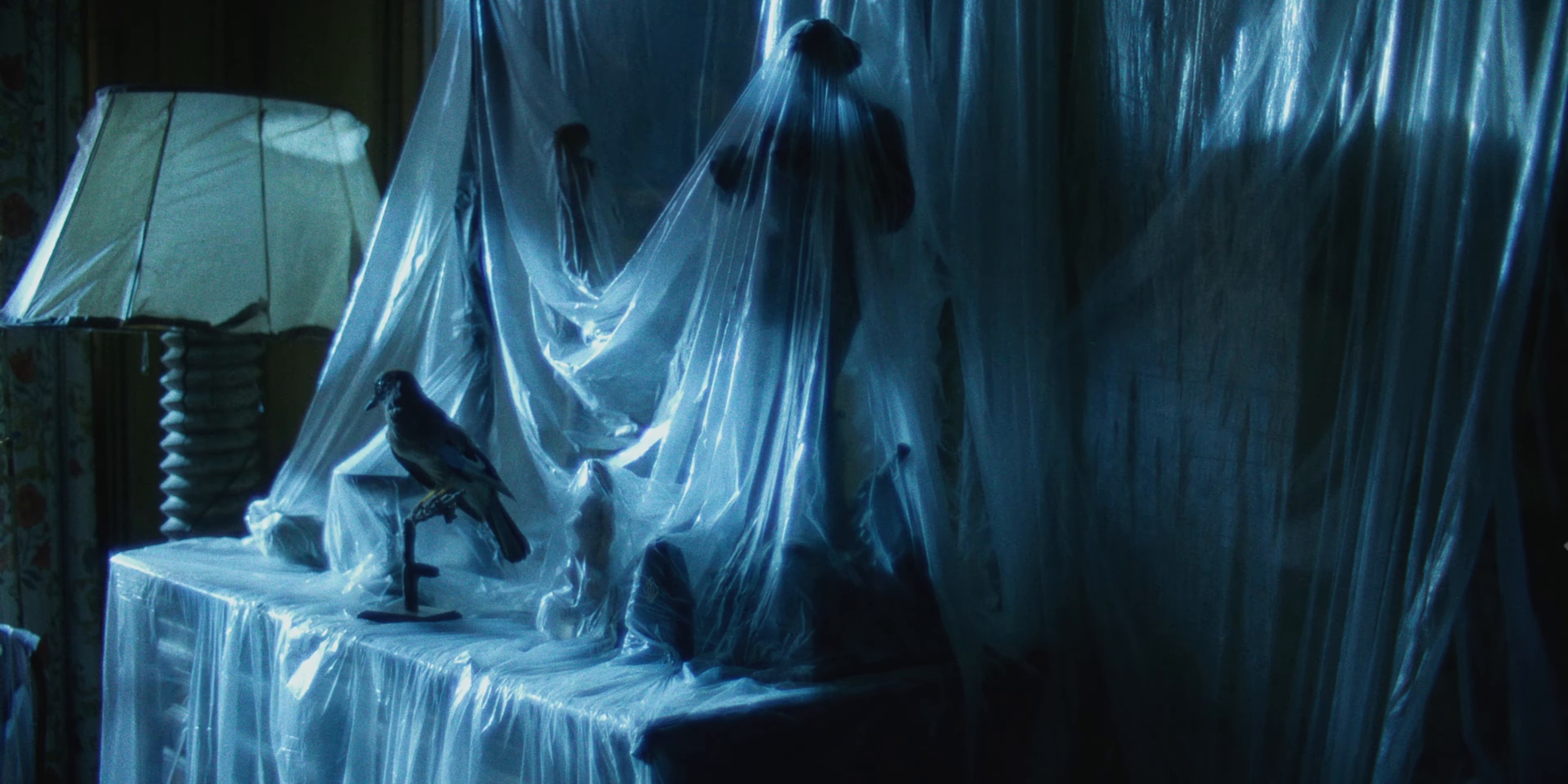 Godbless (2026) —  shot,  lighting