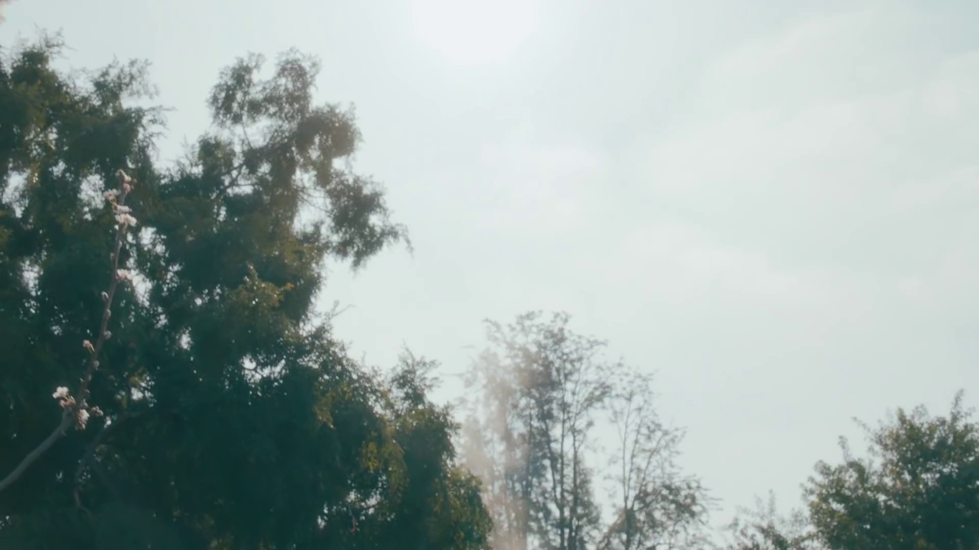 Fetish (2021) —  shot,  lighting