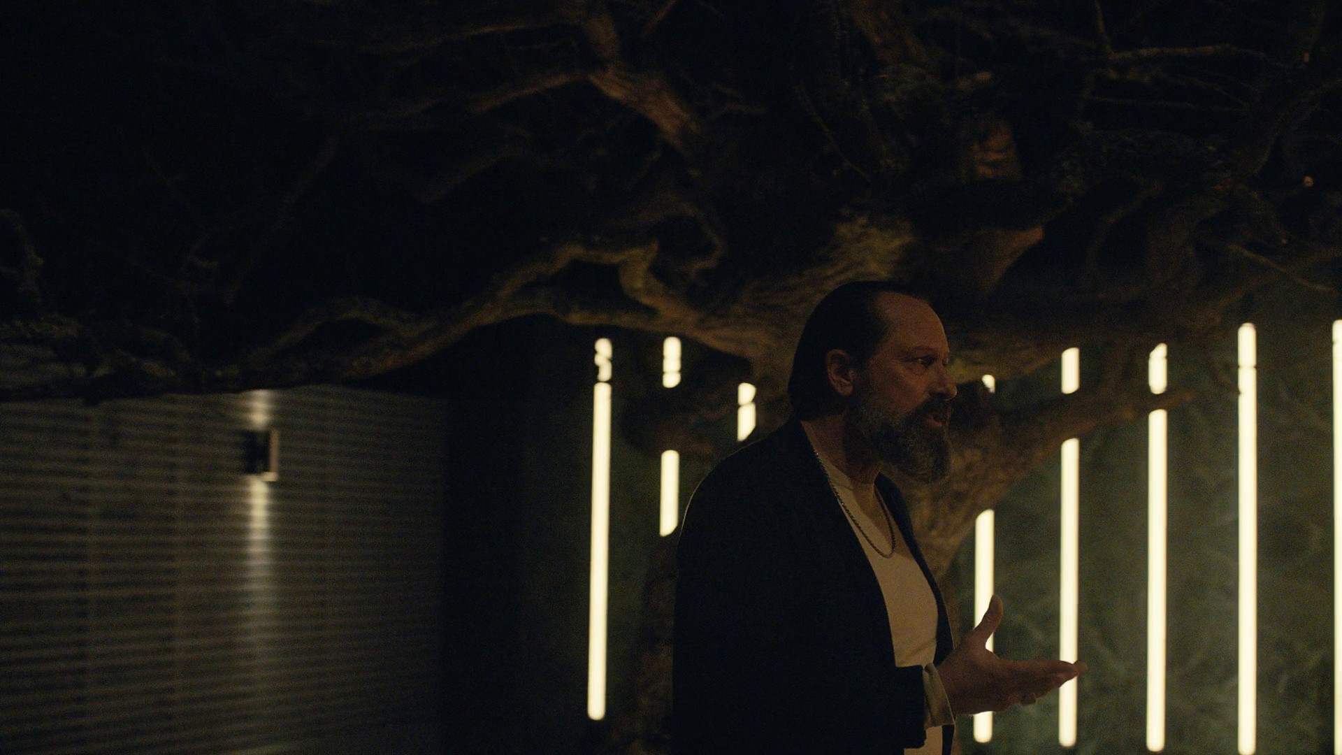 The Old Man and the Tree (2022) —  shot,  lighting