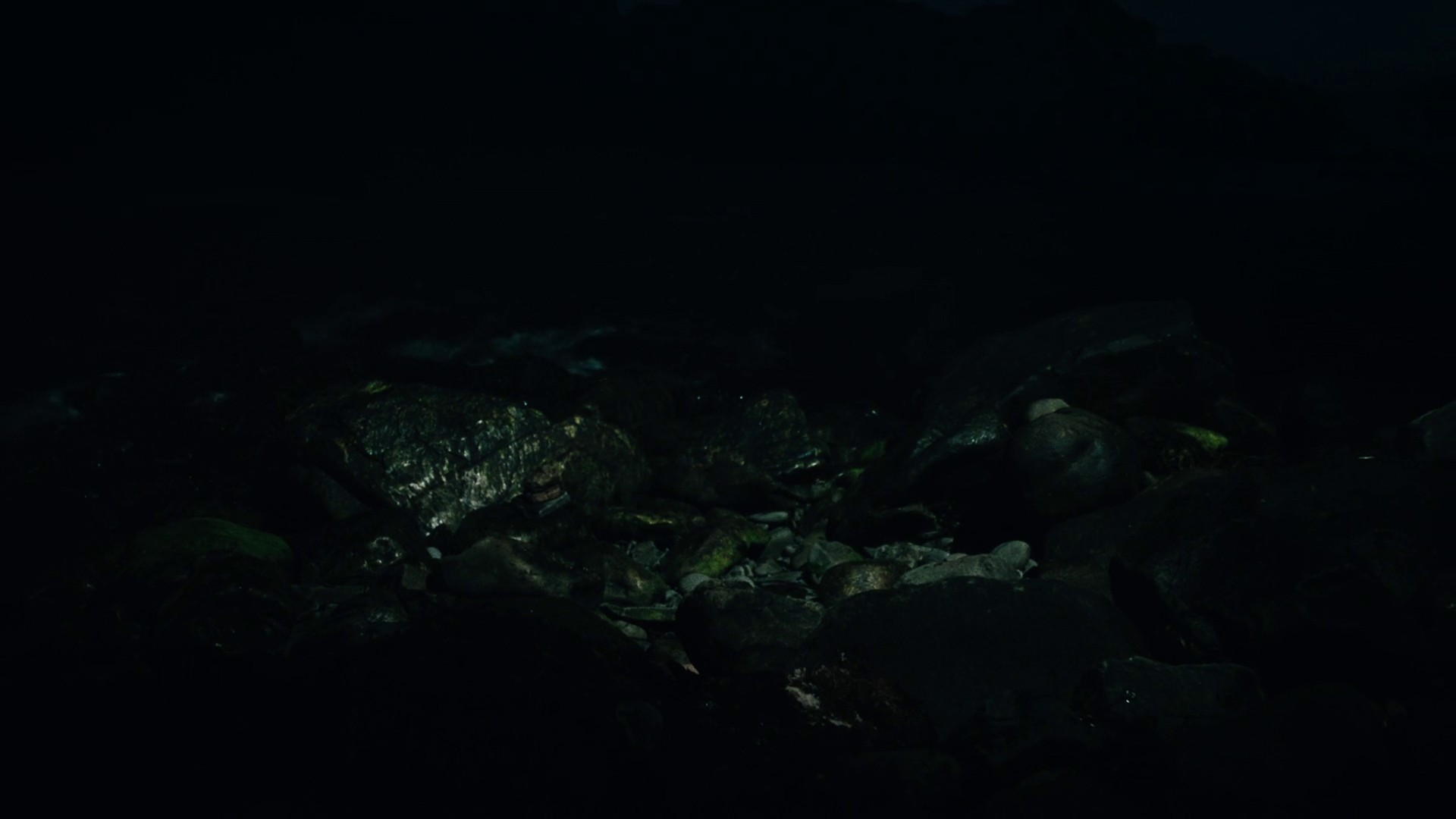 Dream never dies  (2021) —  shot,  lighting