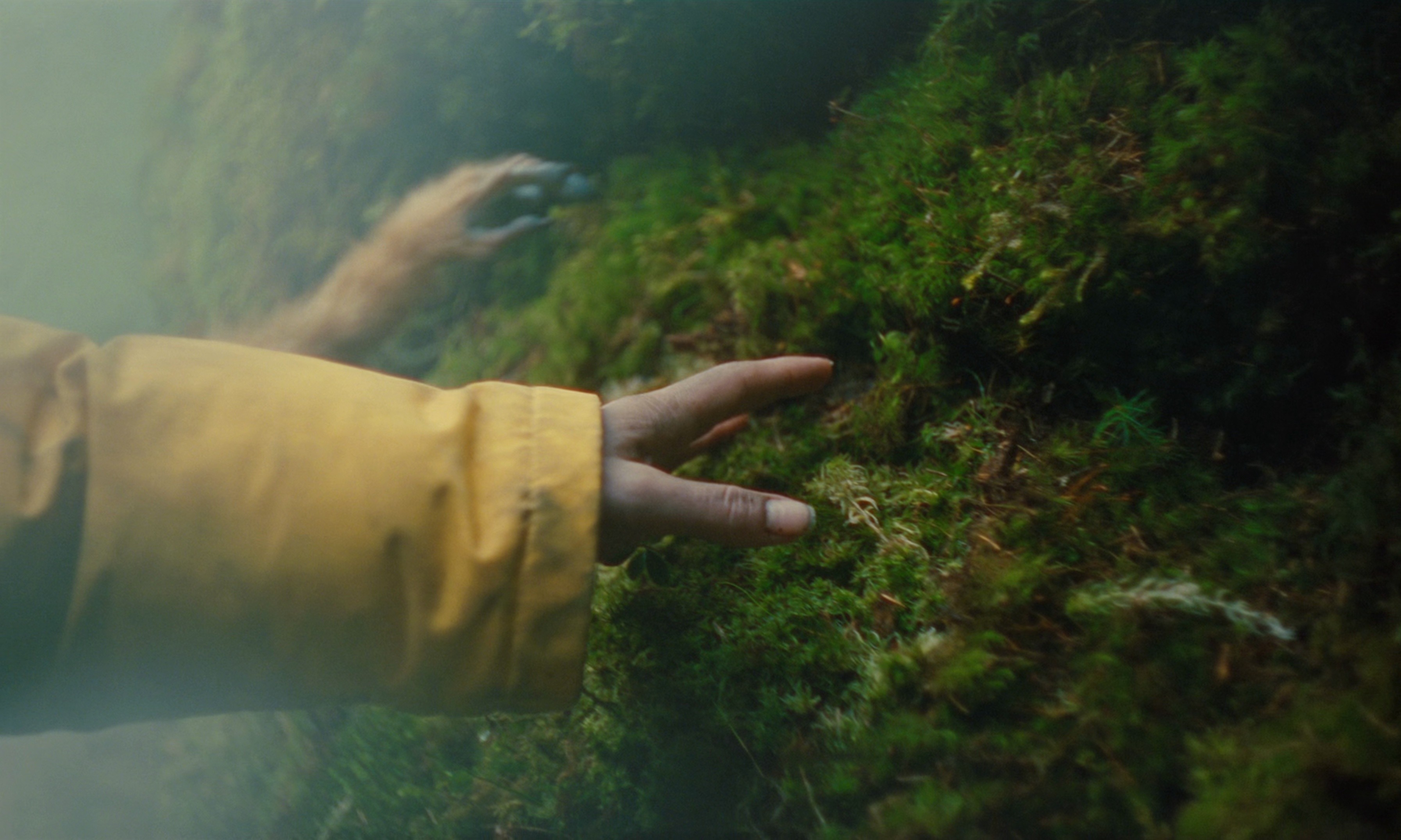 The Legend of Ochi (2025) —  shot,  lighting