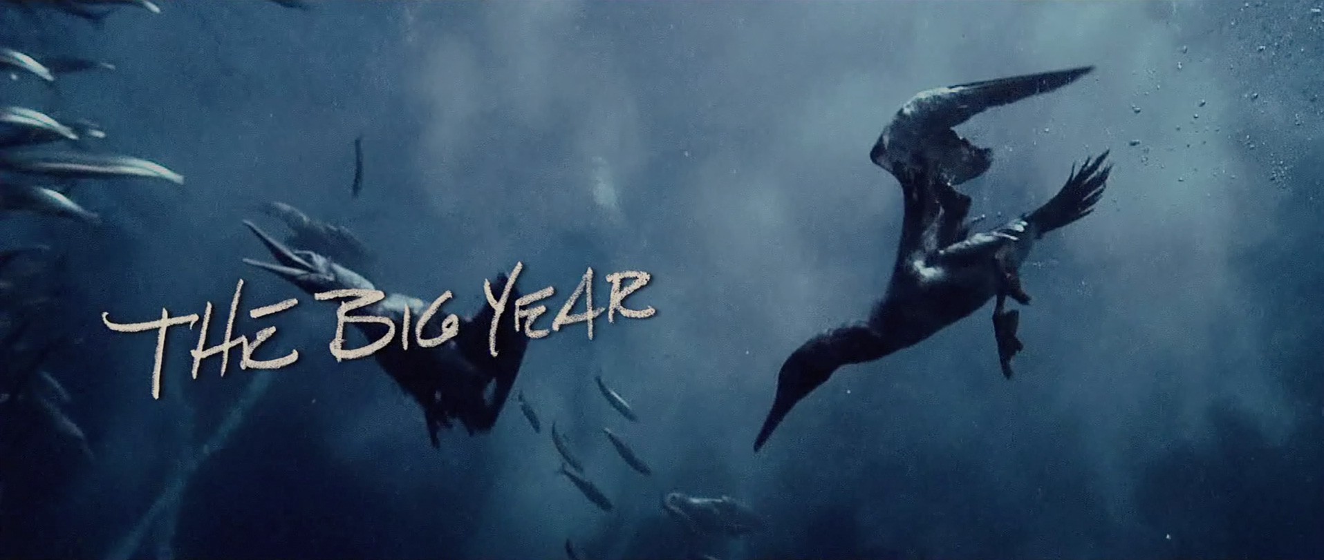 The Big Year (2011) —  shot,  lighting