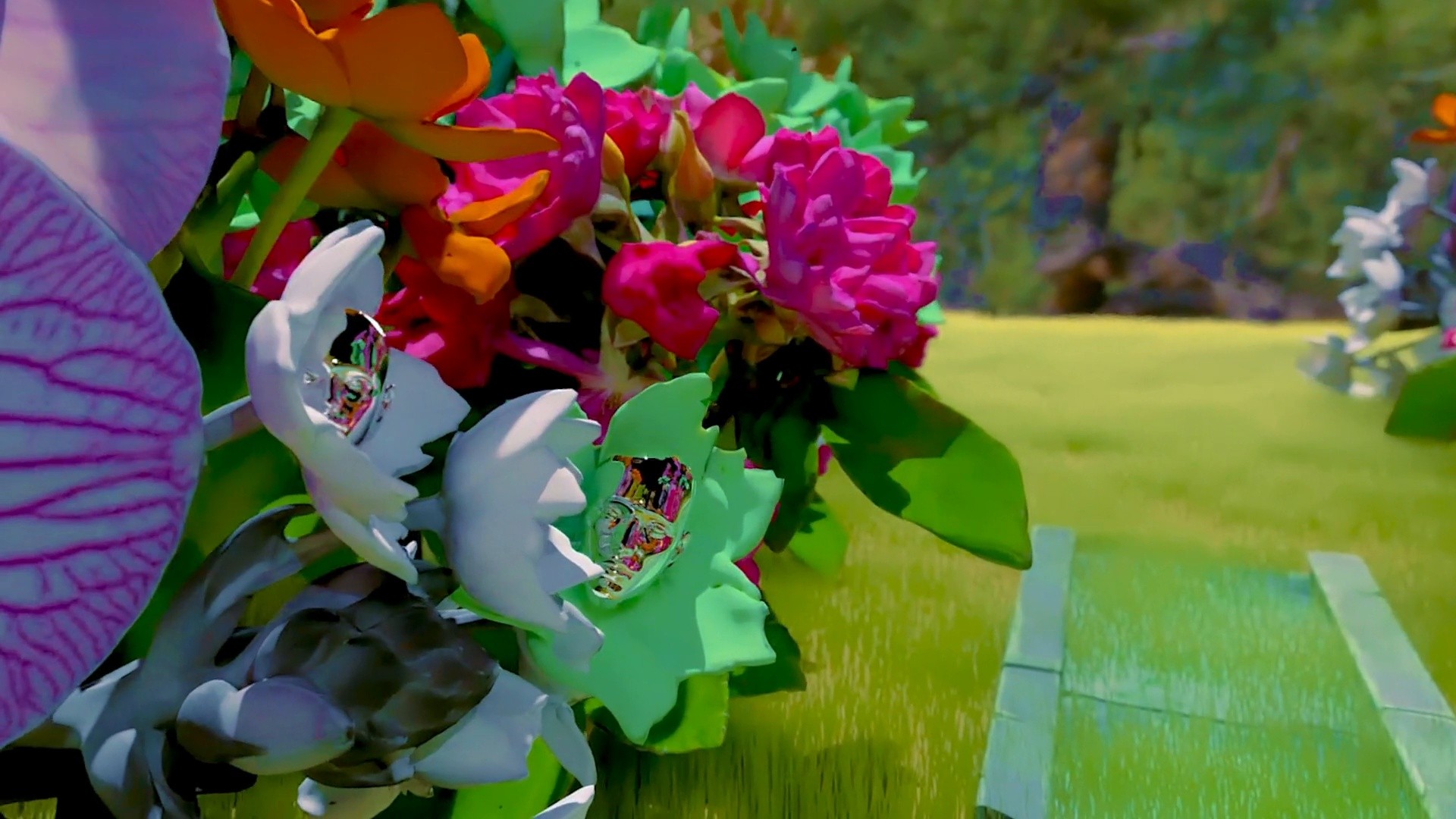 Kindness (2021) —  shot,  lighting