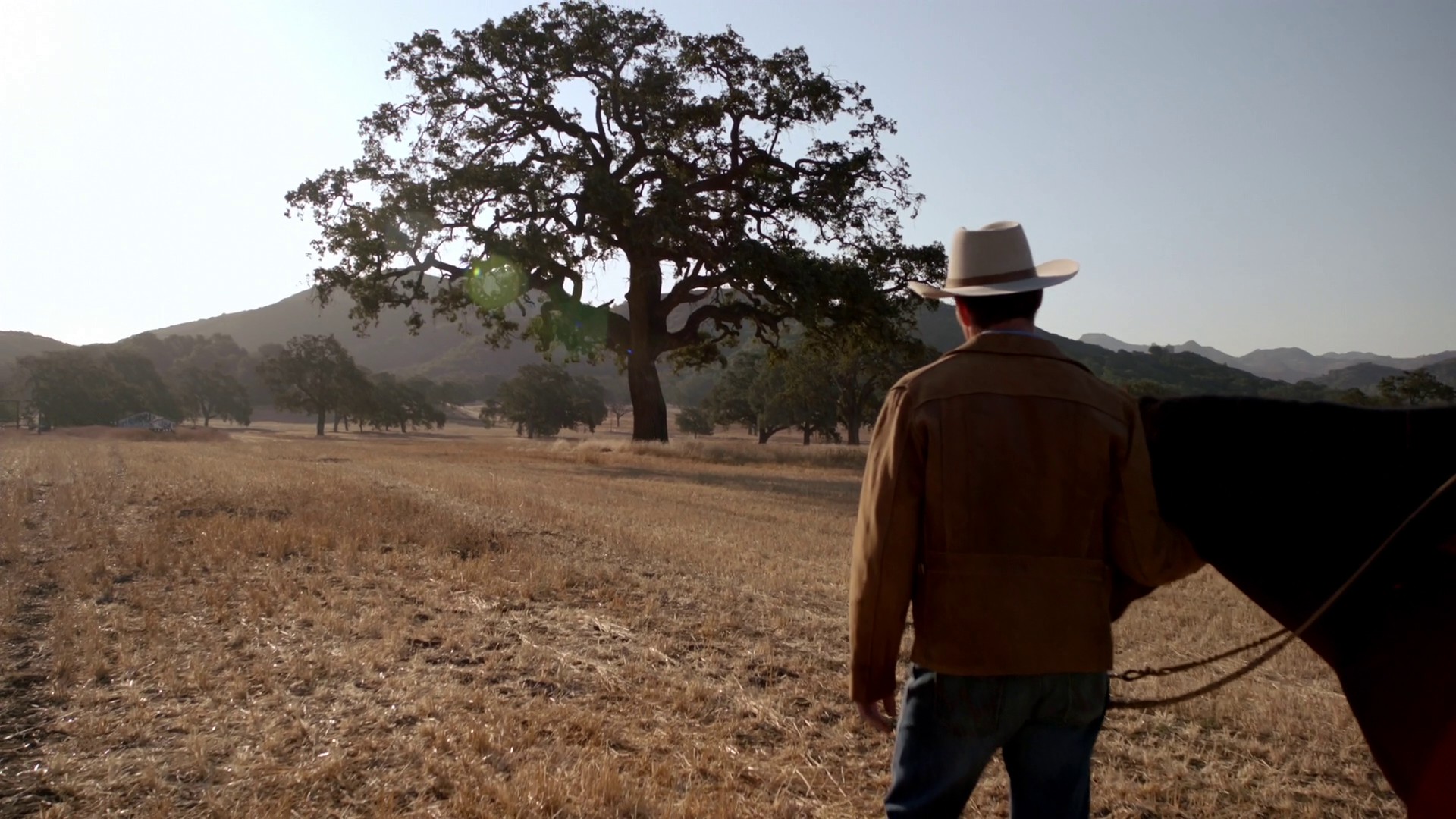 (Il)Legitimate (2012) —  shot,  lighting