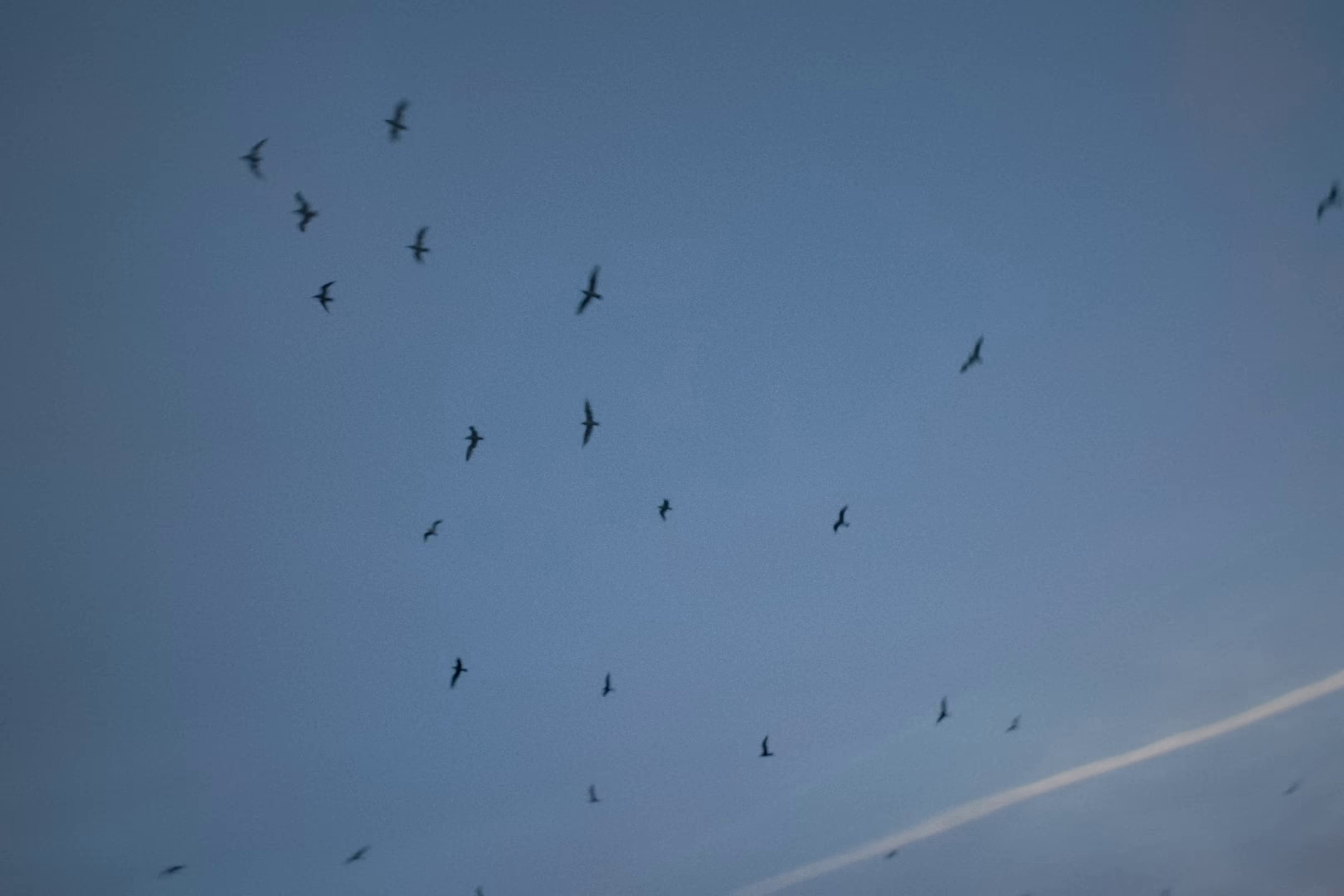 Les Alizés (2023) —  shot,  lighting