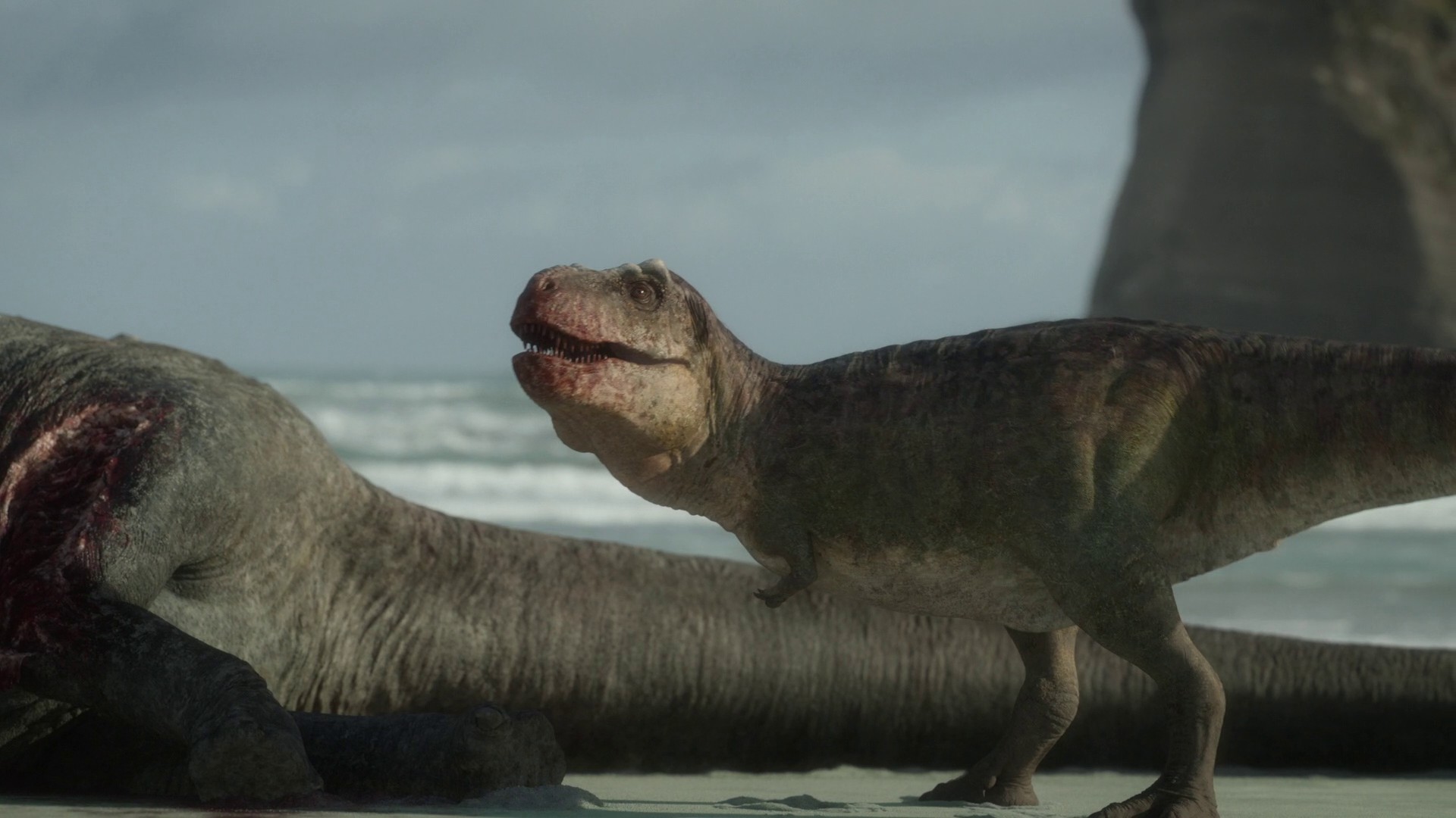 North America (2023) —  shot,  lighting