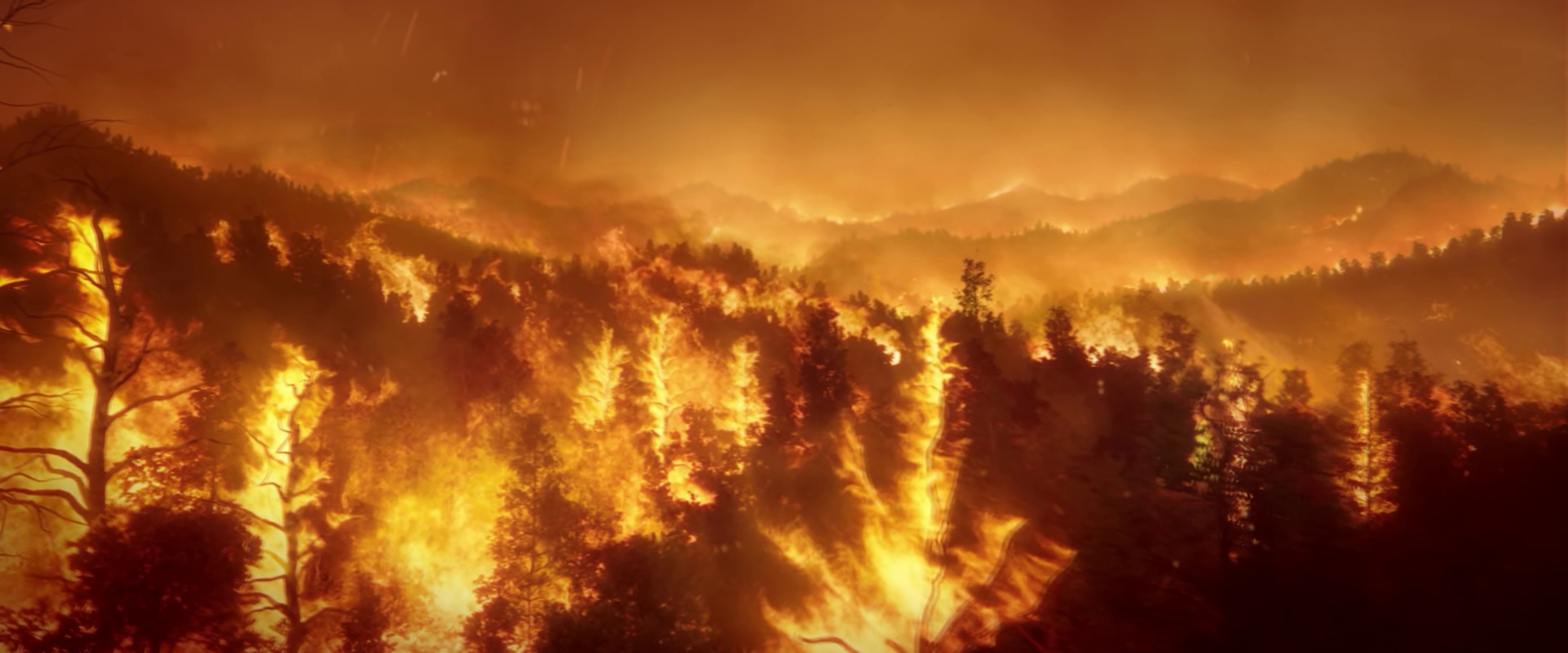 S*ck My D*ck 2020  (2020) —  shot,  lighting