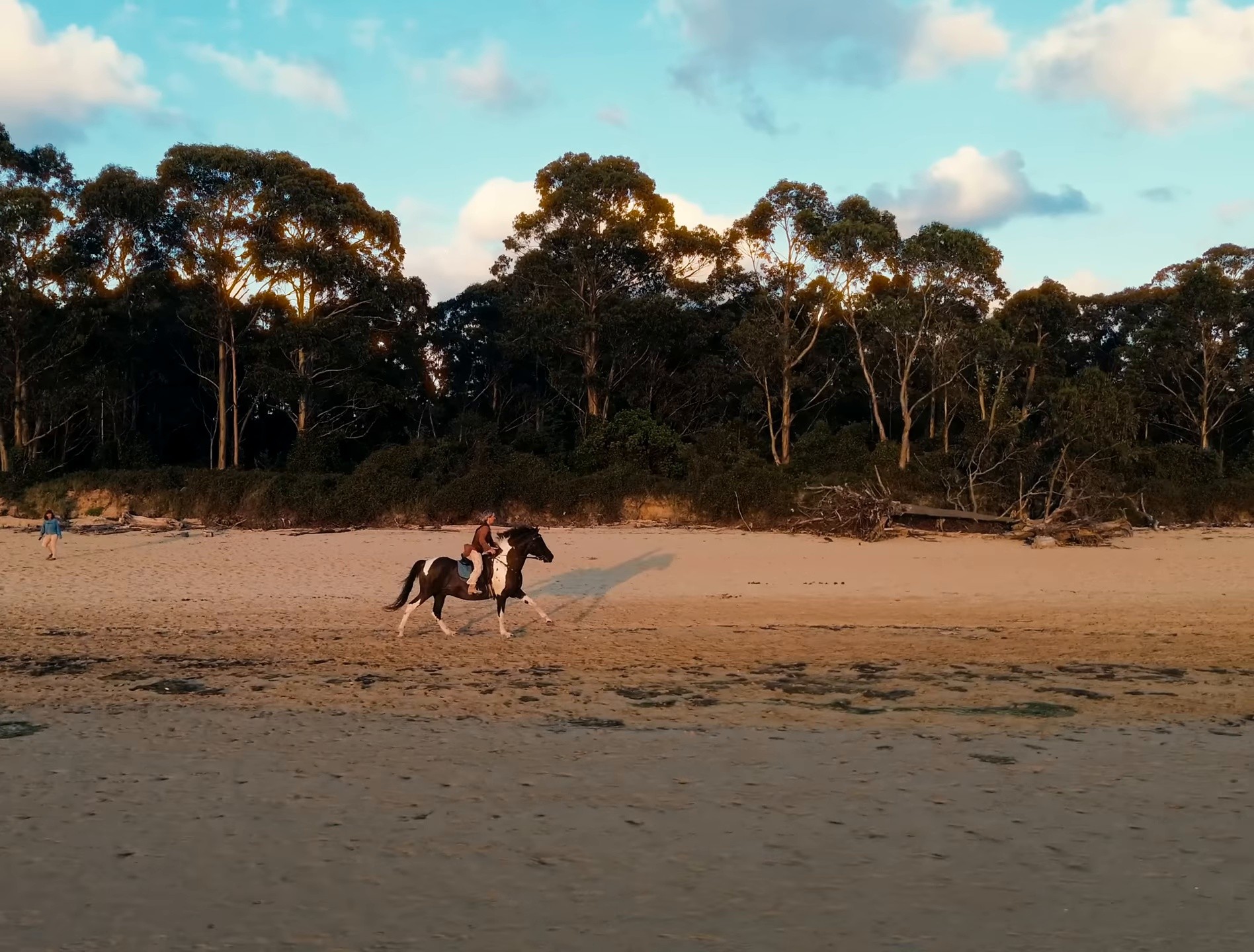 La Salvaje (2025) —  shot,  lighting