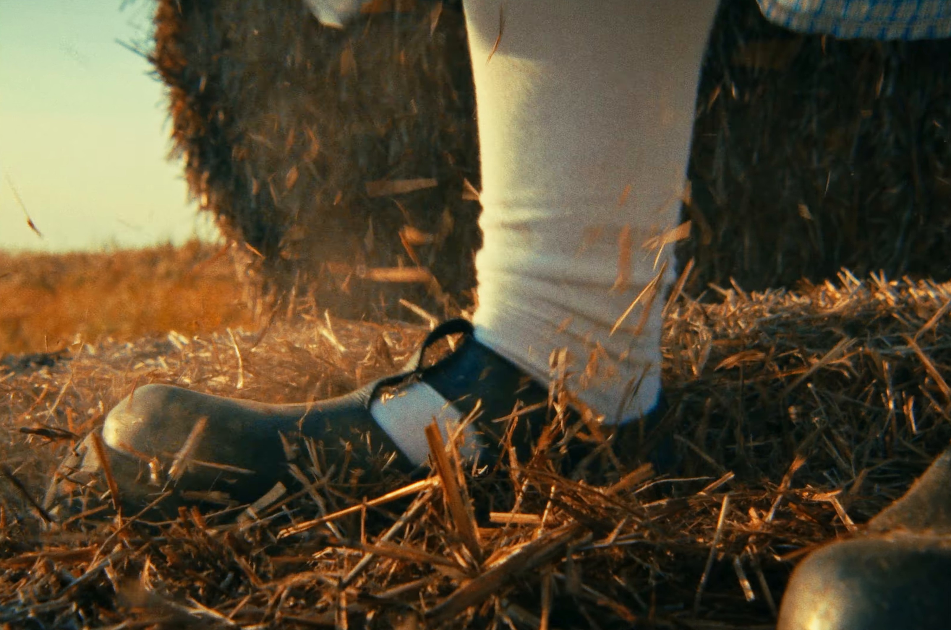 No te has enterado (2024) —  shot,  lighting