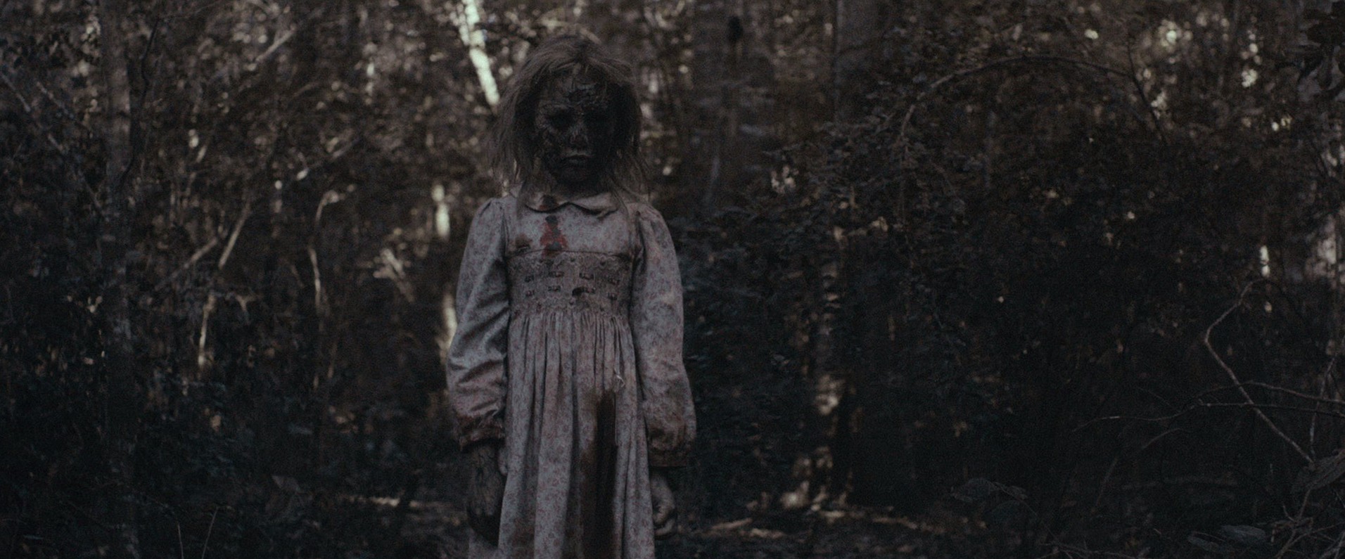 Maggie (2015) —  shot,  lighting