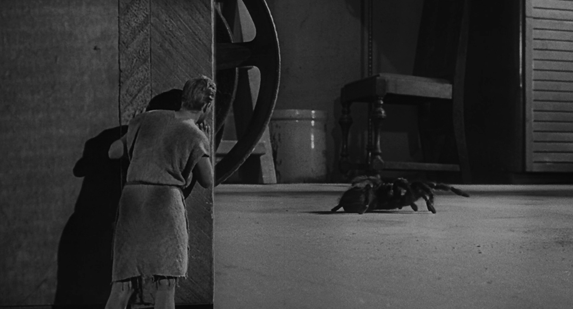 The Incredible Shrinking Man (1957) —  shot,  lighting
