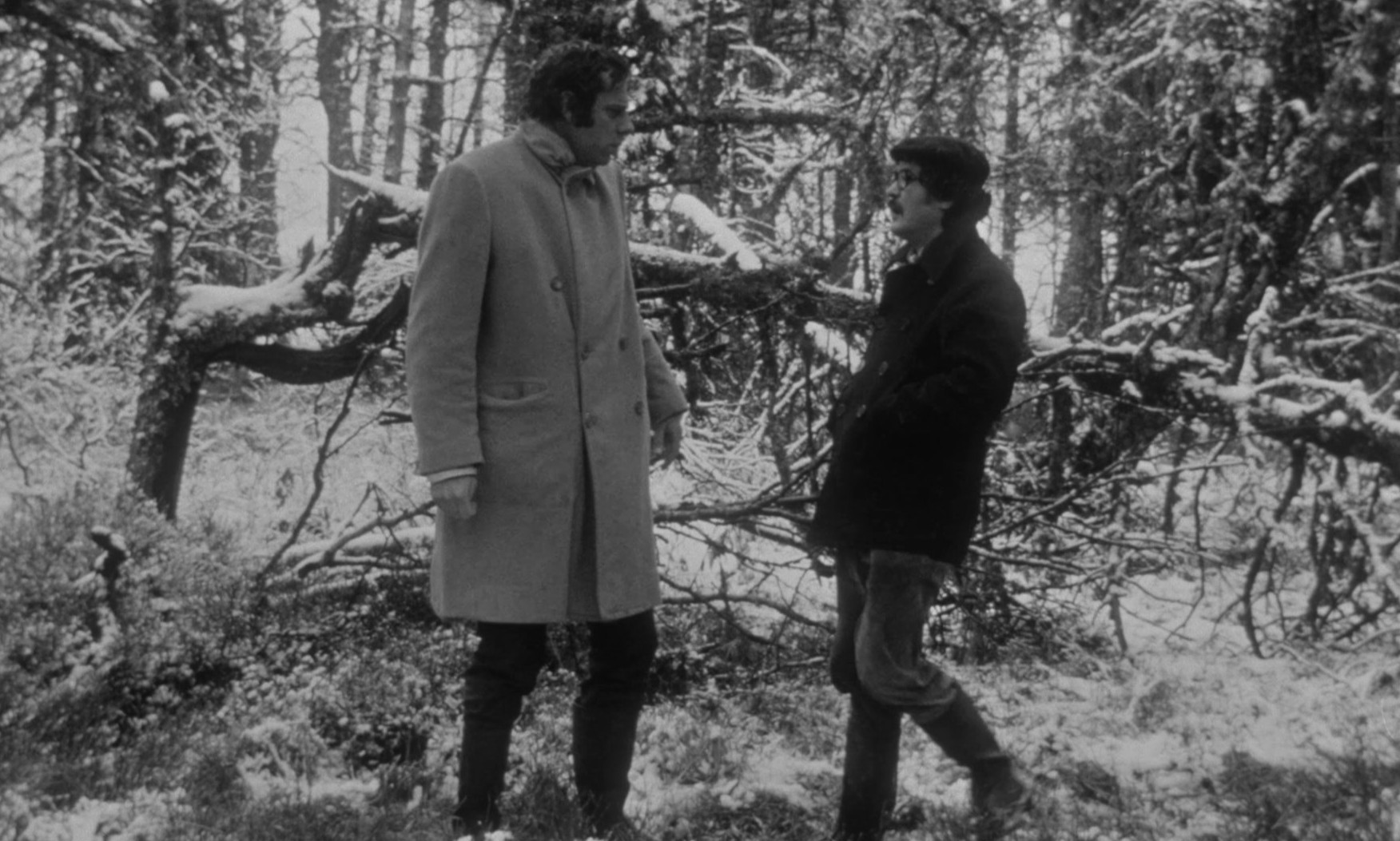 The Salamander (1971) —  shot,  lighting