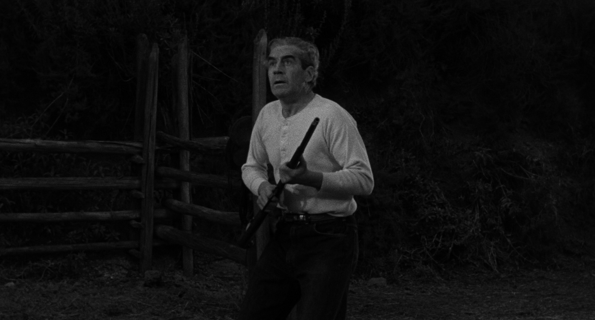 Tarantula (1955) —  shot,  lighting