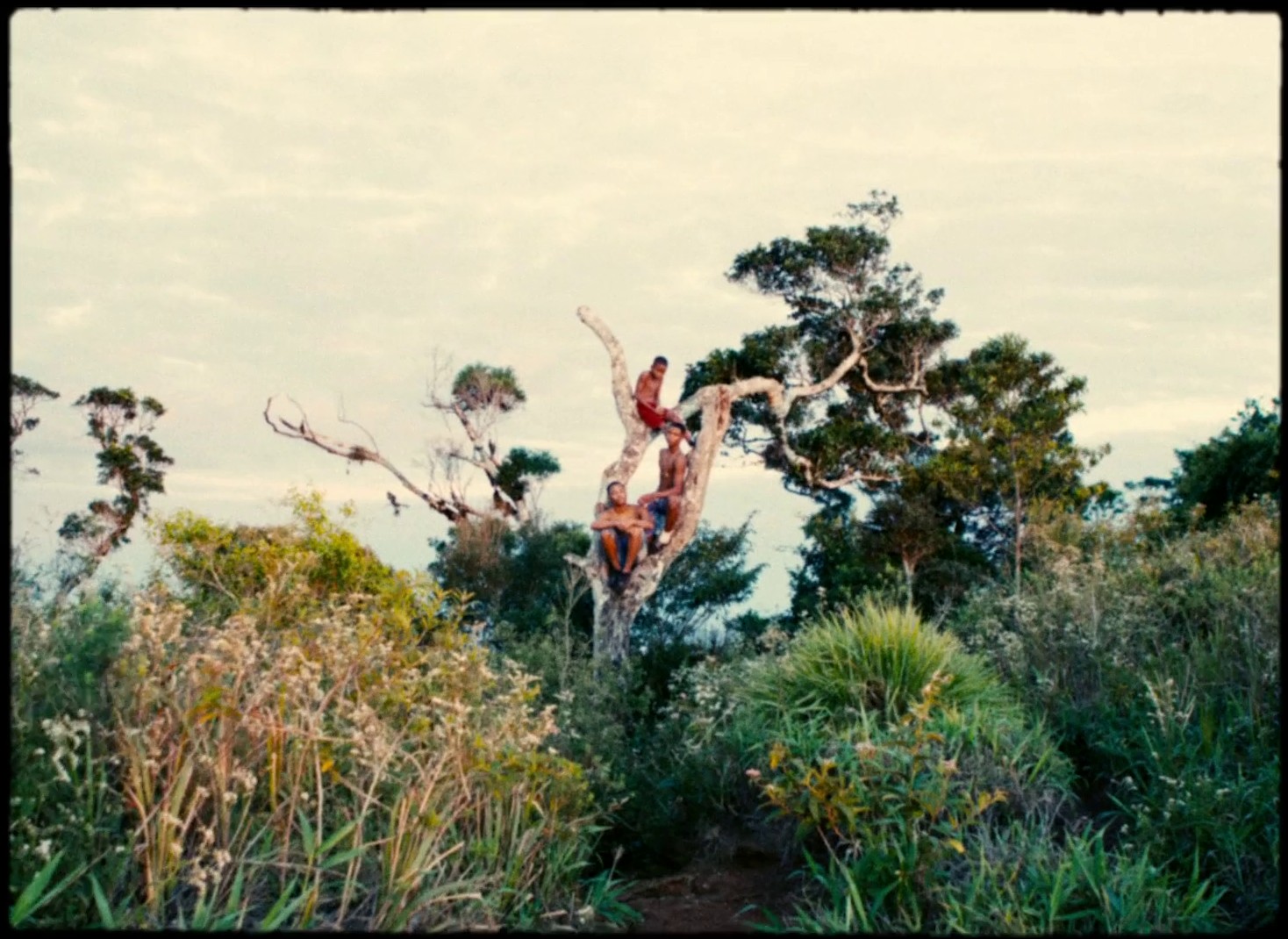 Ciclos (2020) —  shot,  lighting