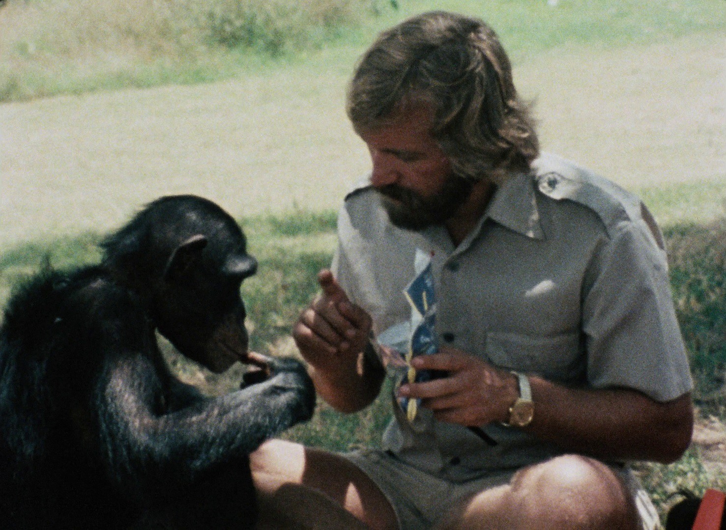 Koko: A Talking Gorilla (1978) —  shot,  lighting