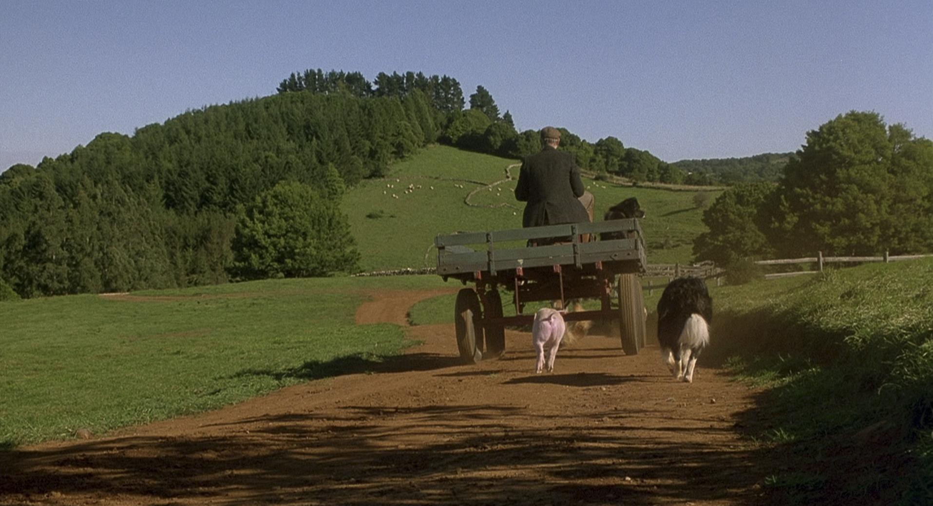 Babe (1995) —  shot,  lighting