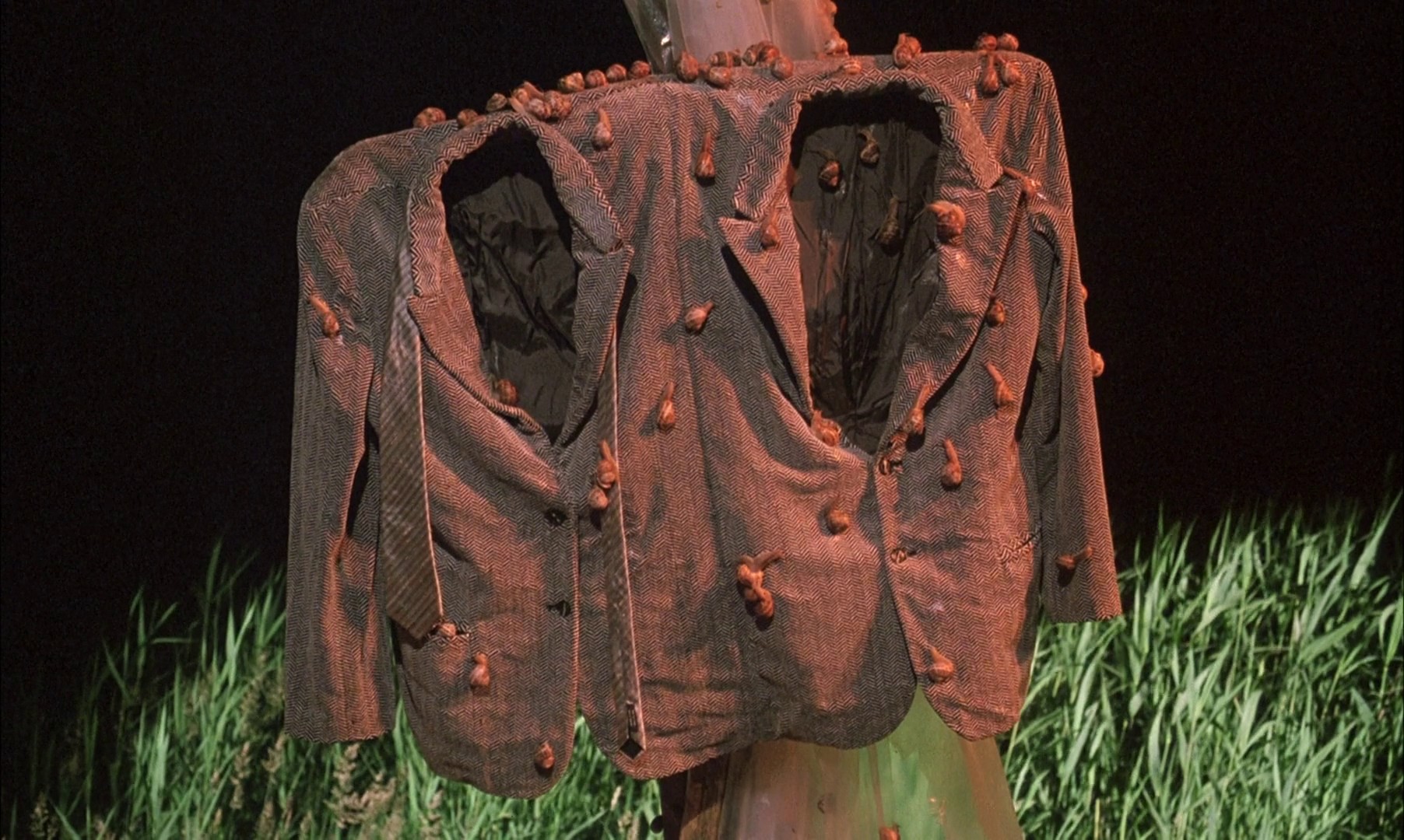 A Zed & Two Noughts (1985) —  shot,  lighting