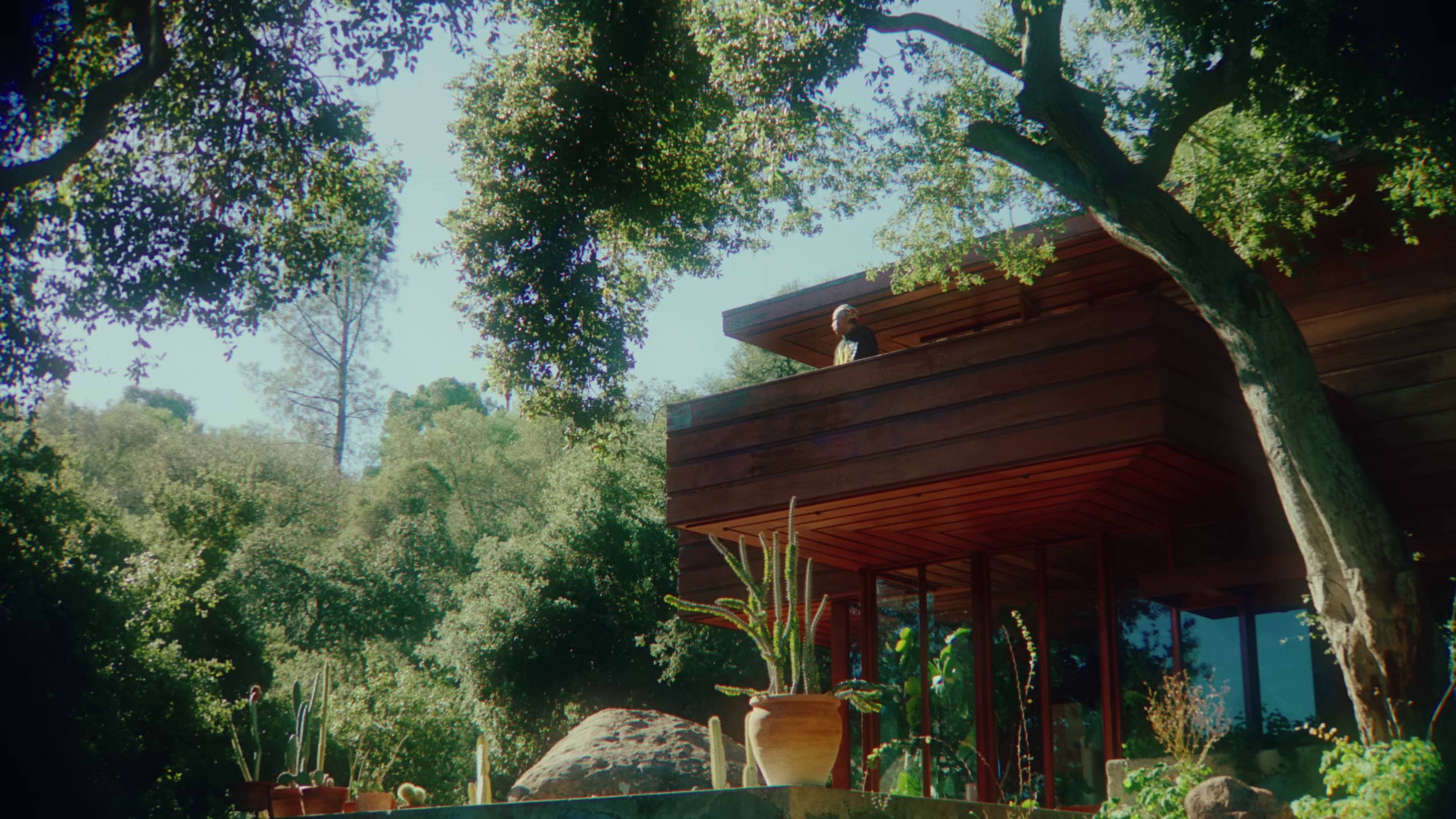 Good Evening (2024) —  shot,  lighting