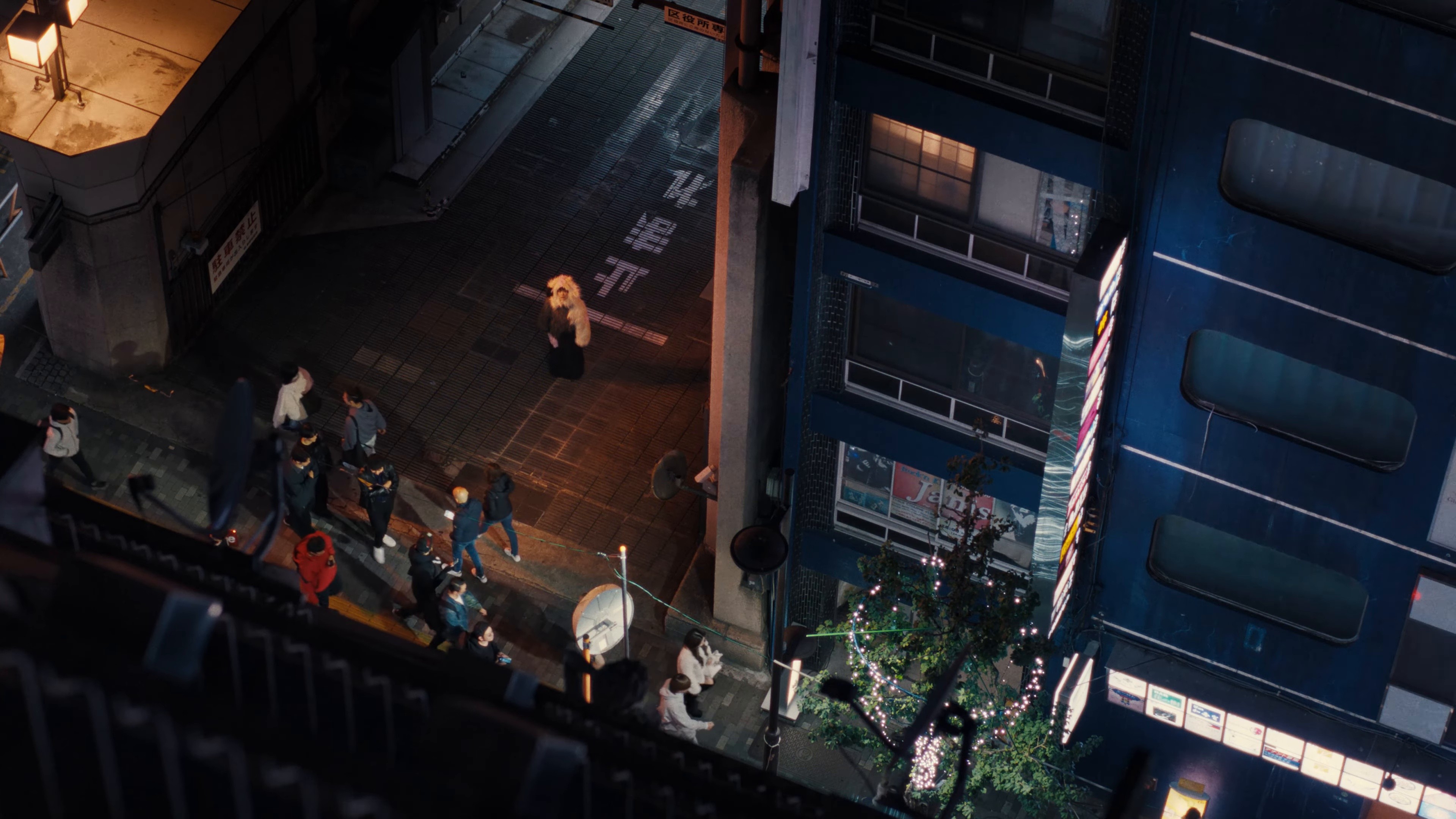 Animaru (2025) —  shot,  lighting