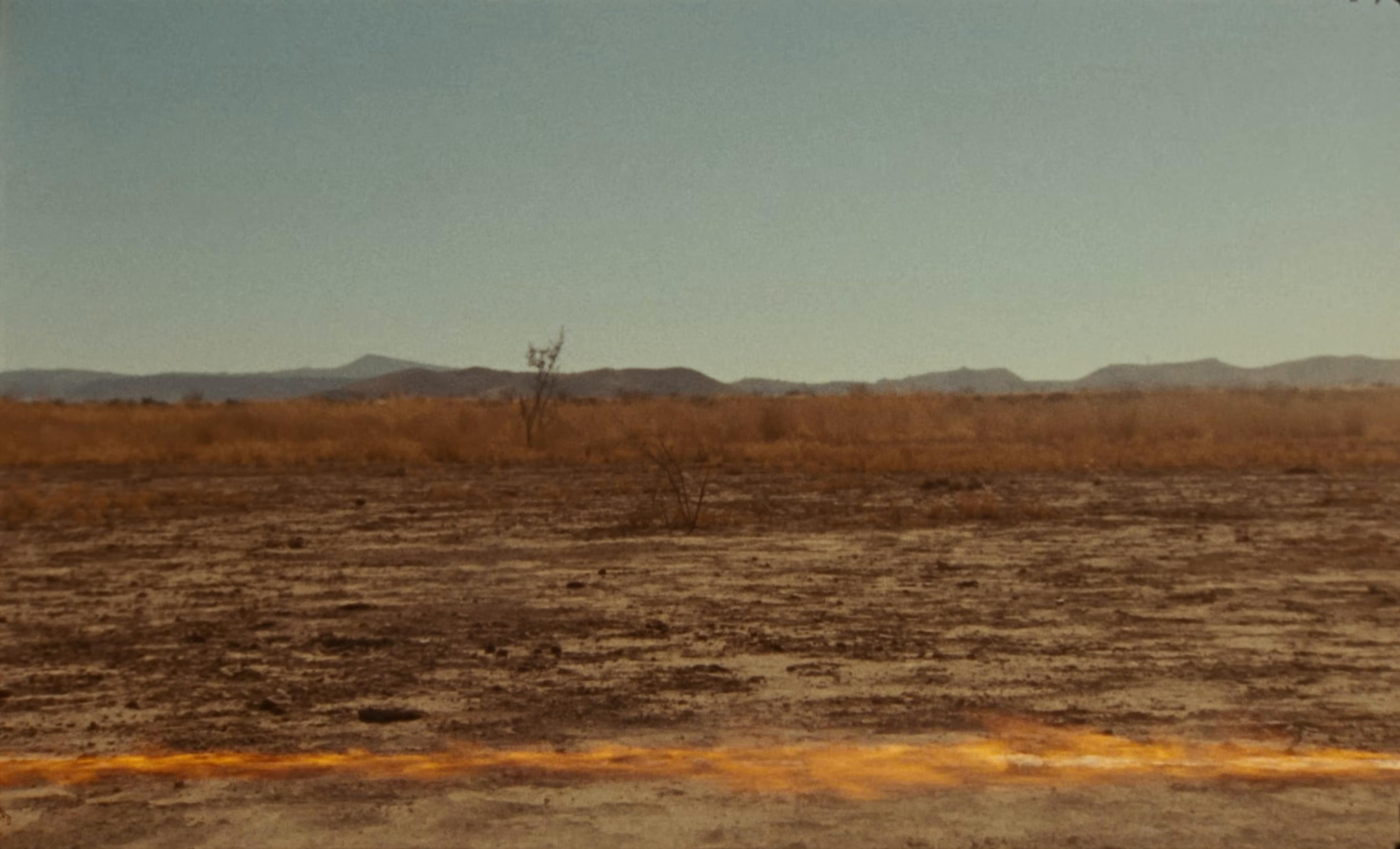 White Horse (2025) —  shot,  lighting